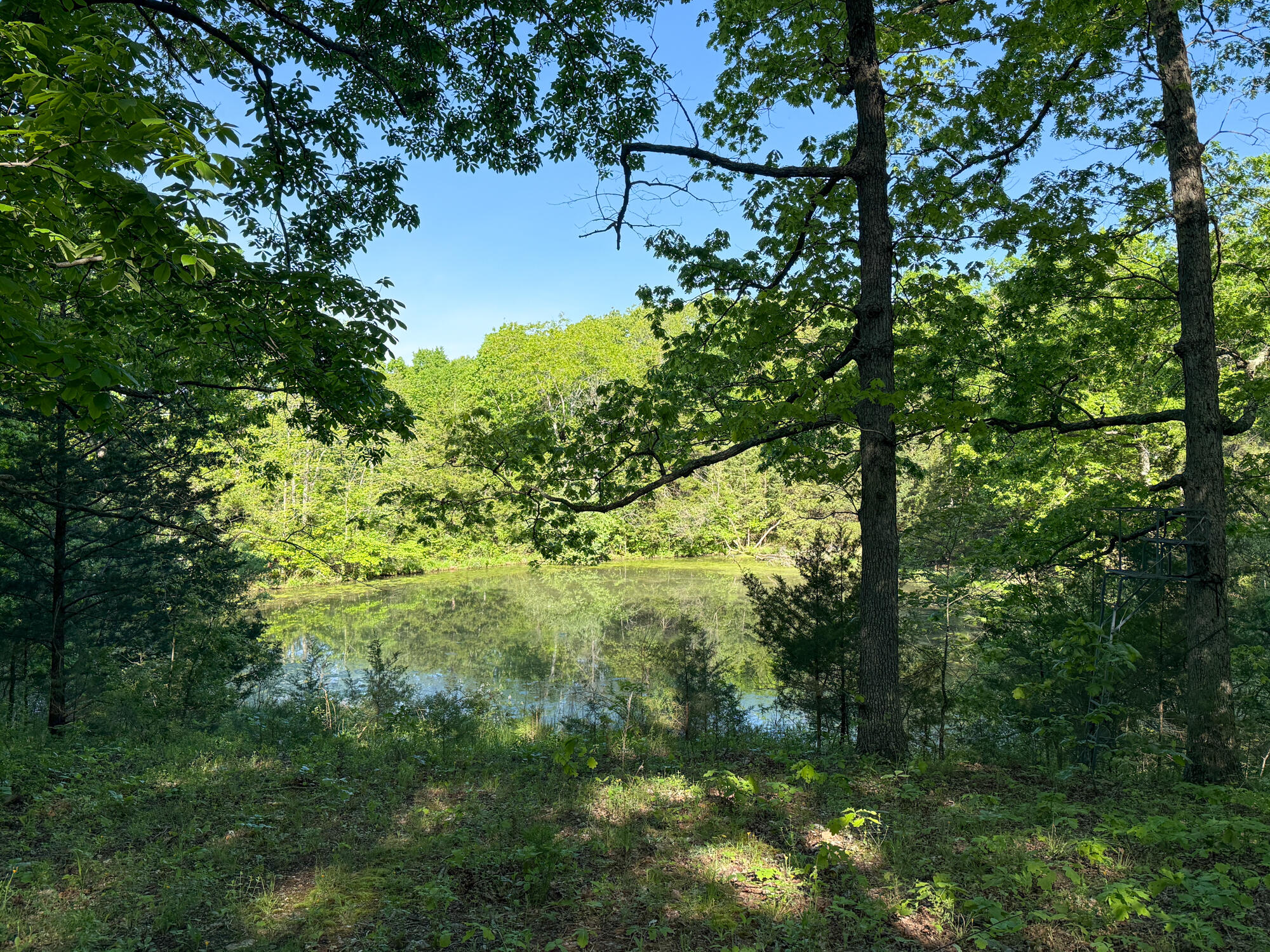Photo 18 - Residential for sale – 13060  Highway Ee   Cabool, MO