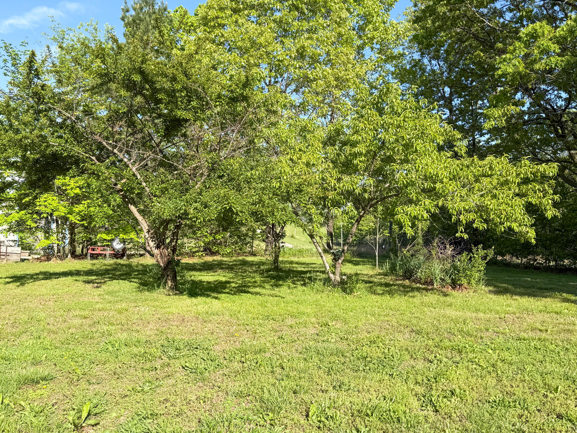 Photo 33 - Residential for sale – 13060  Highway Ee   Cabool, MO