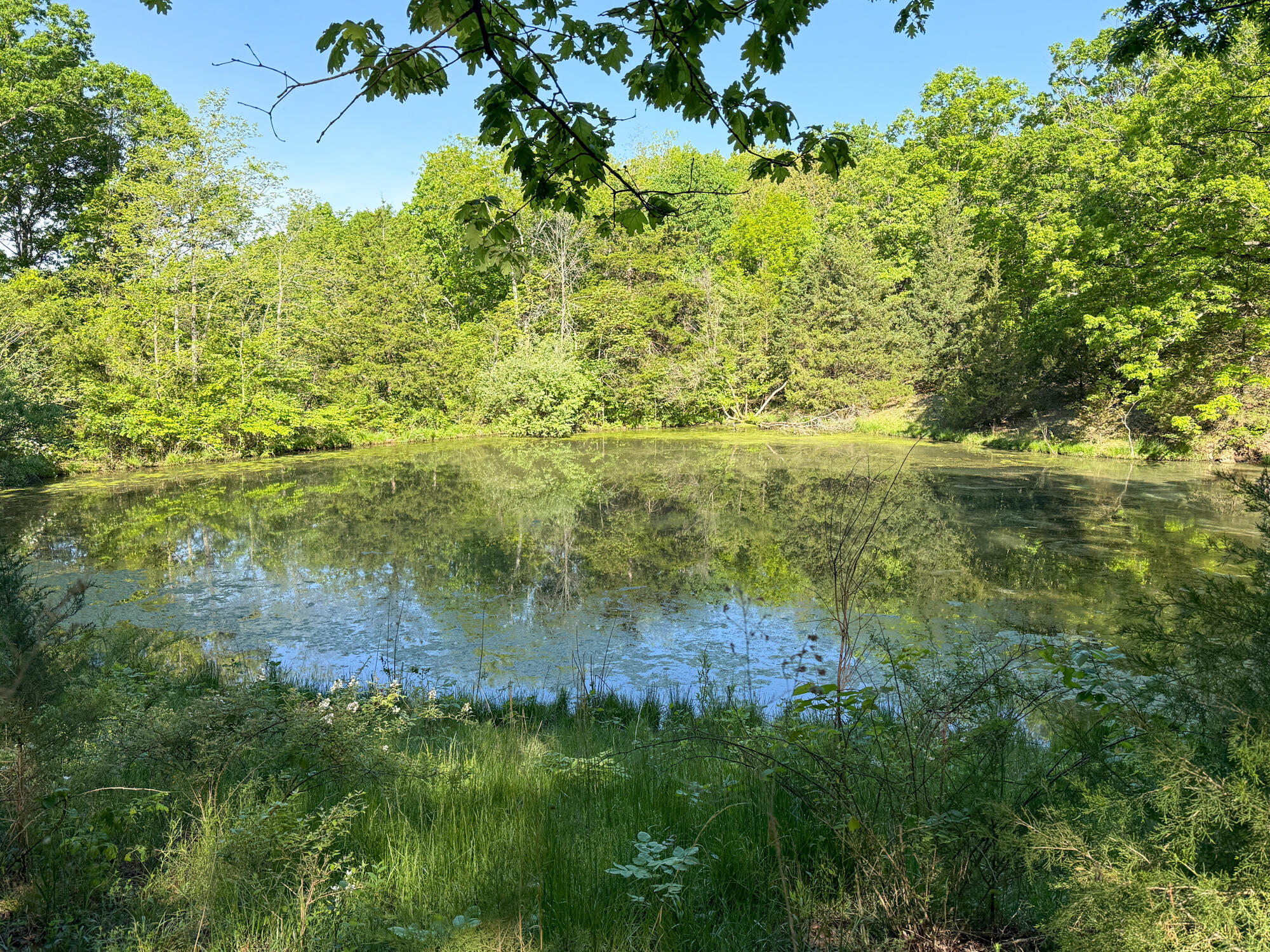 Photo 34 - Residential for sale – 13060  Highway Ee   Cabool, MO
