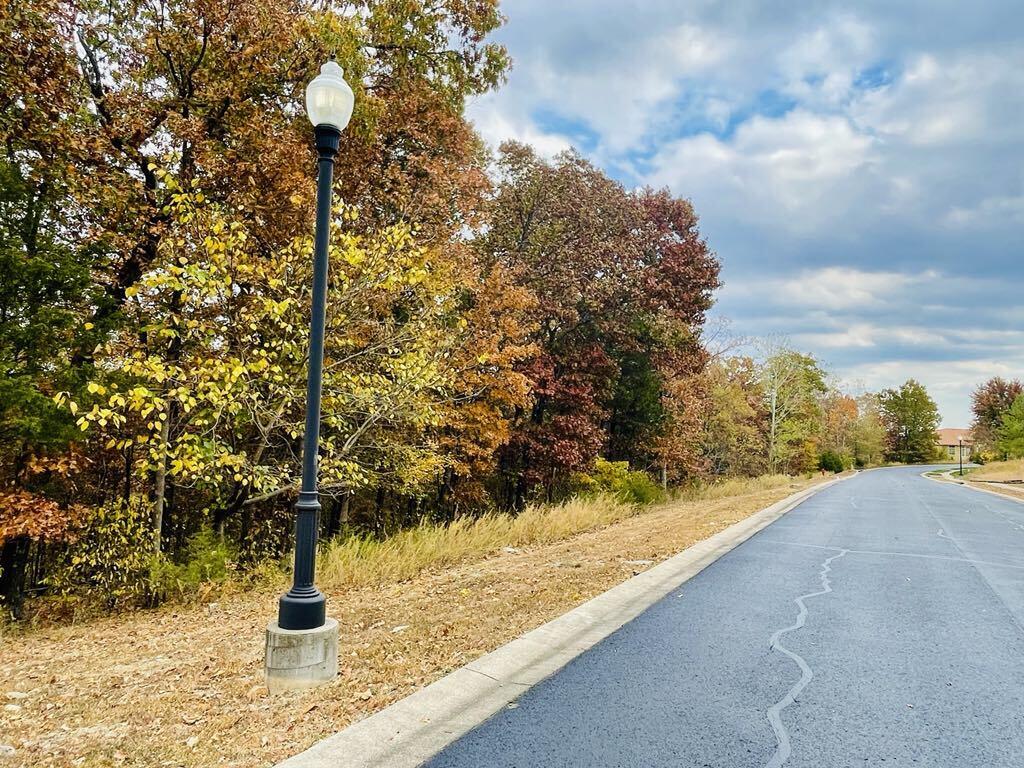 Photo 4 - Land for sale – Lot 13  Shinnecock Hills Drive  Branson, MO