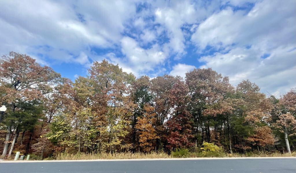 Photo 5 - Land for sale – Lot 13  Shinnecock Hills Drive  Branson, MO