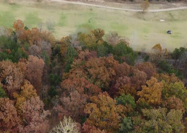 Photo 3 - Land for sale – Lot 15  Shinnecock Hills Drive  Branson, MO