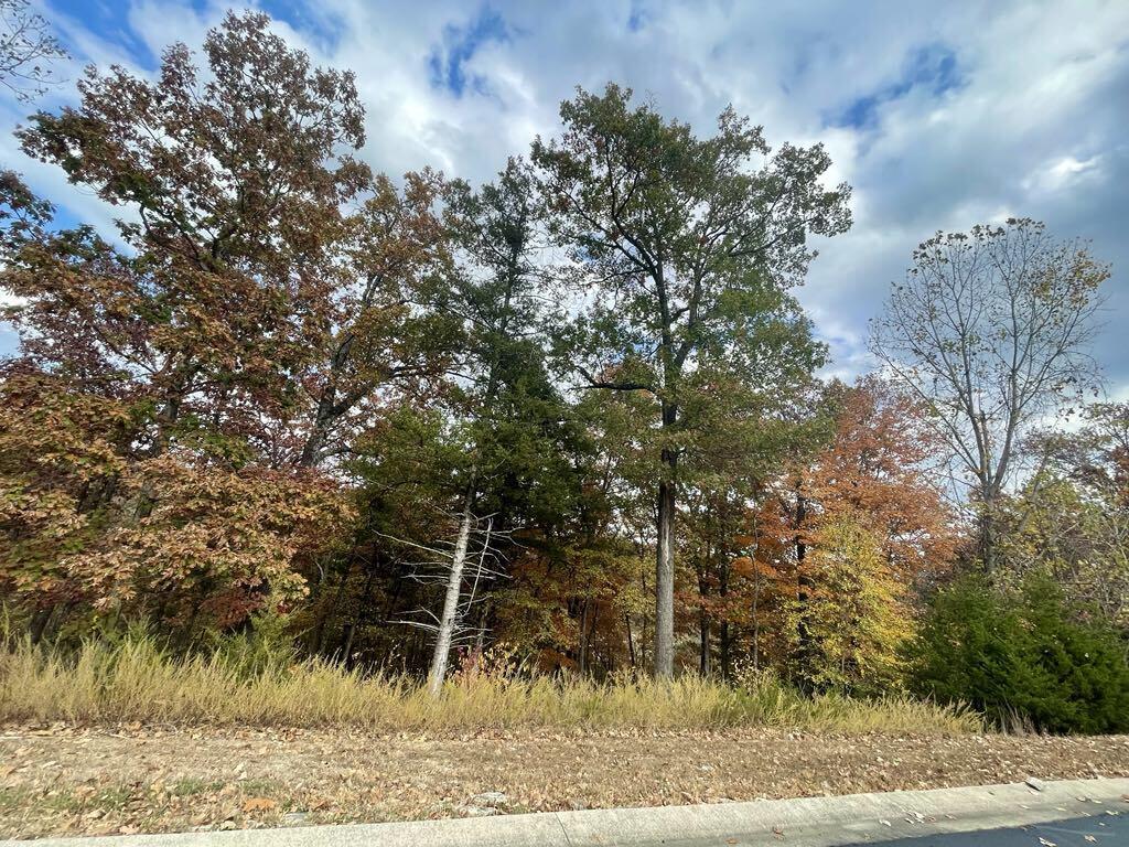 Photo 6 - Land for sale – Lot 15  Shinnecock Hills Drive  Branson, MO