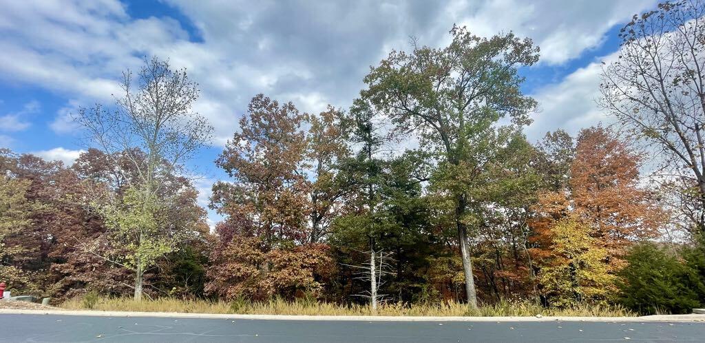 Photo 5 - Land for sale – Lot 15  Shinnecock Hills Drive  Branson, MO