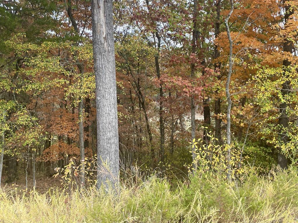 Photo 4 - Land for sale – Lot 15  Shinnecock Hills Drive  Branson, MO