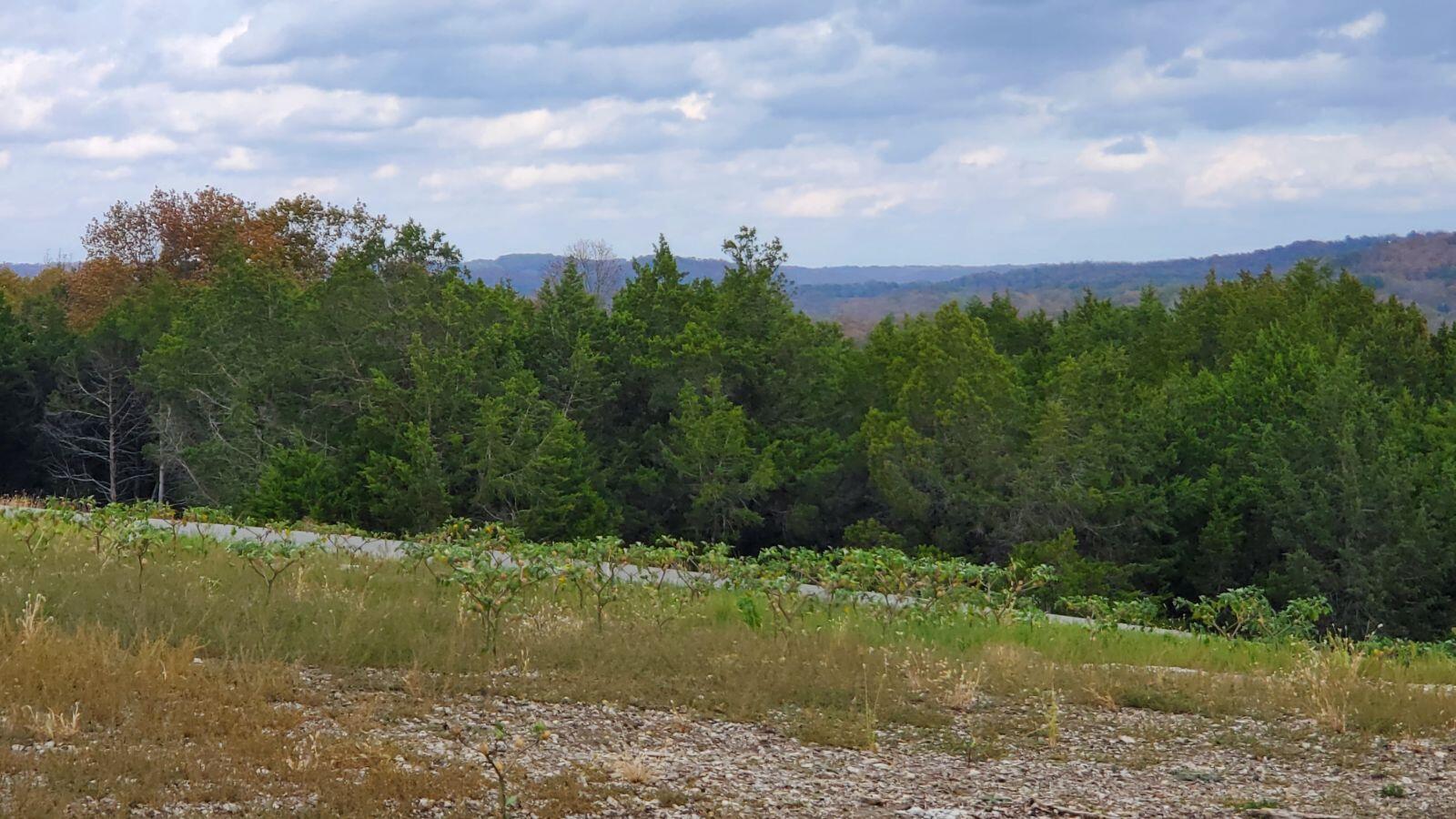 Photo 4 - Land for sale – 000  Lot 238 & 235 Silver Sunset La   Kimberling City, MO