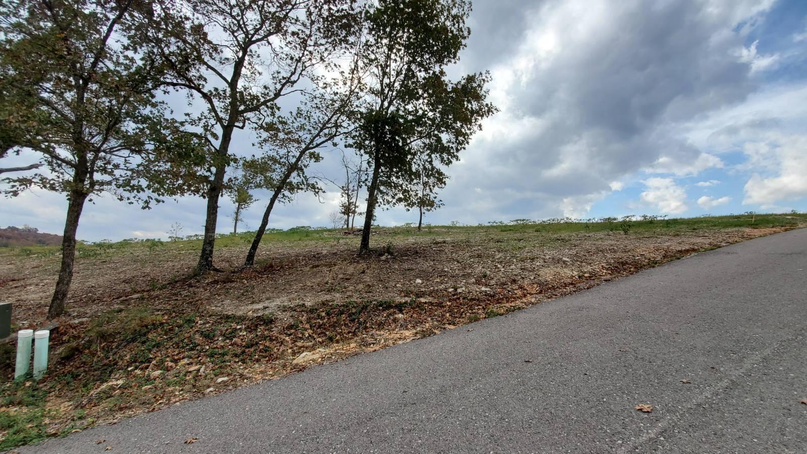 Photo 3 - Land for sale – 000  Lot 238 & 235 Silver Sunset La   Kimberling City, MO
