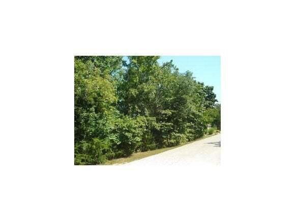 Photo 10 - Land for sale – 844  Silvercliff Way   Branson West, MO