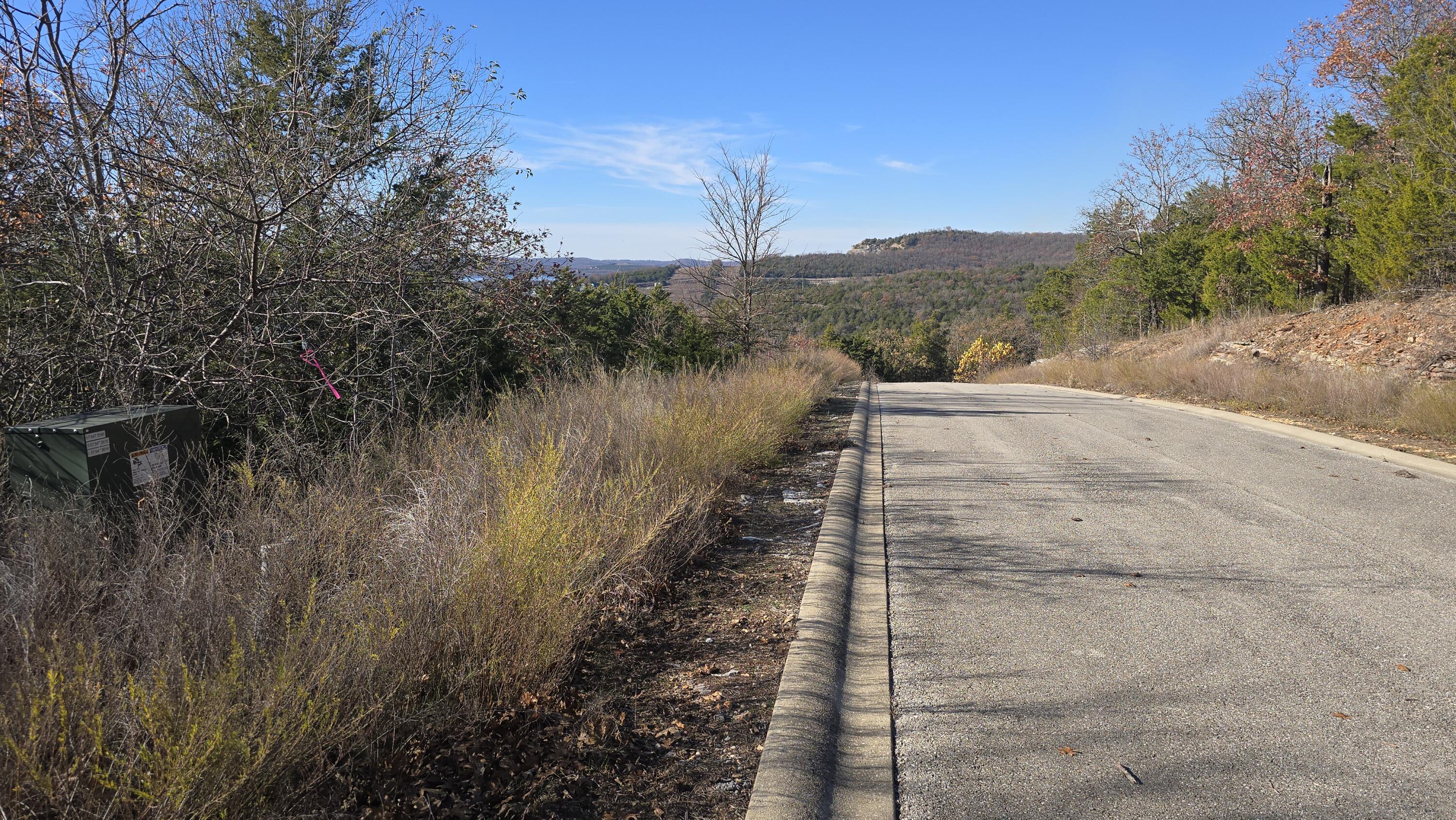 Photo 4 - Land for sale – 000  Emerald Isle Drive  Hollister, MO