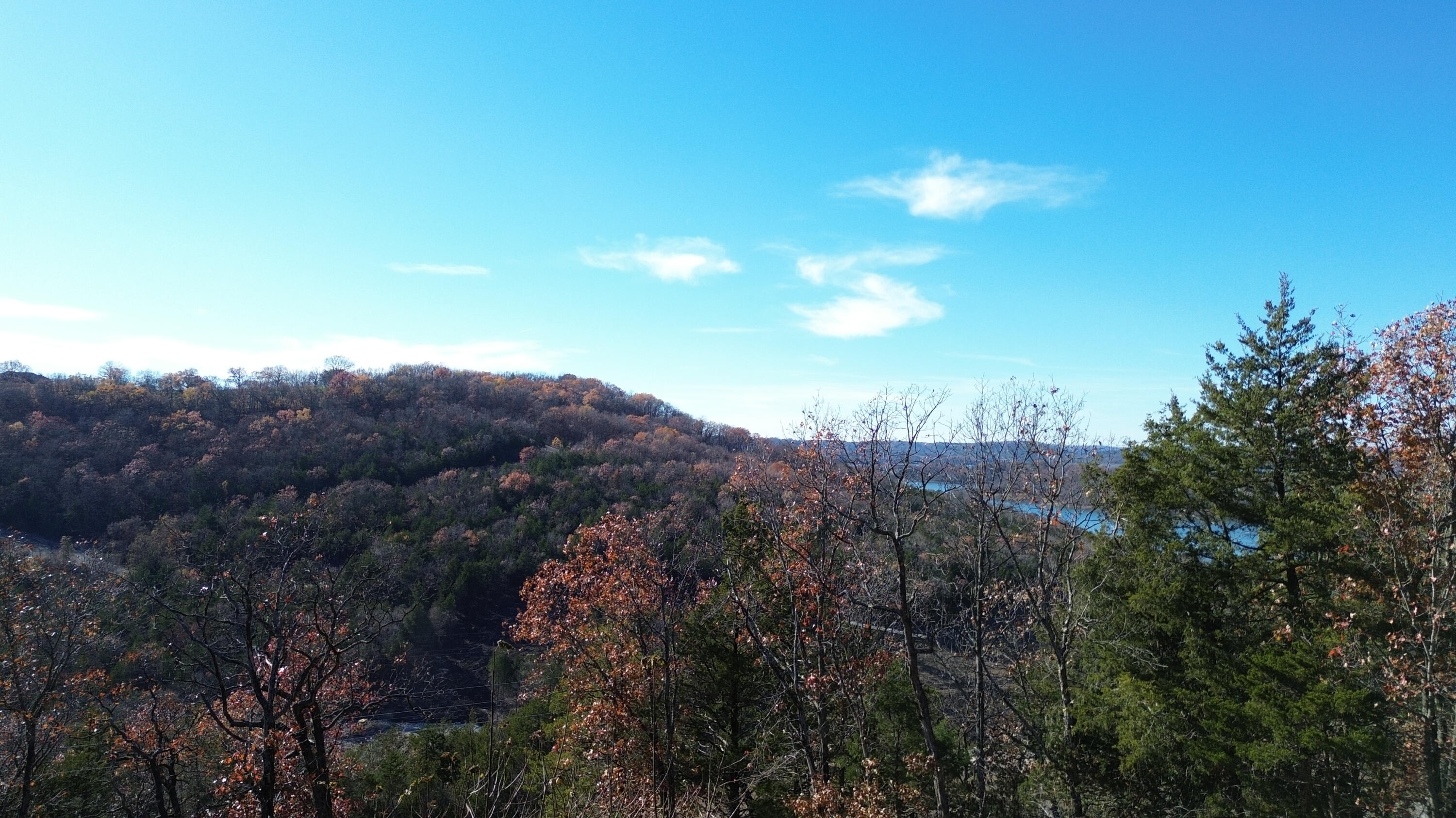 Photo 5 - Land for sale – 000  Emerald Isle Drive  Hollister, MO