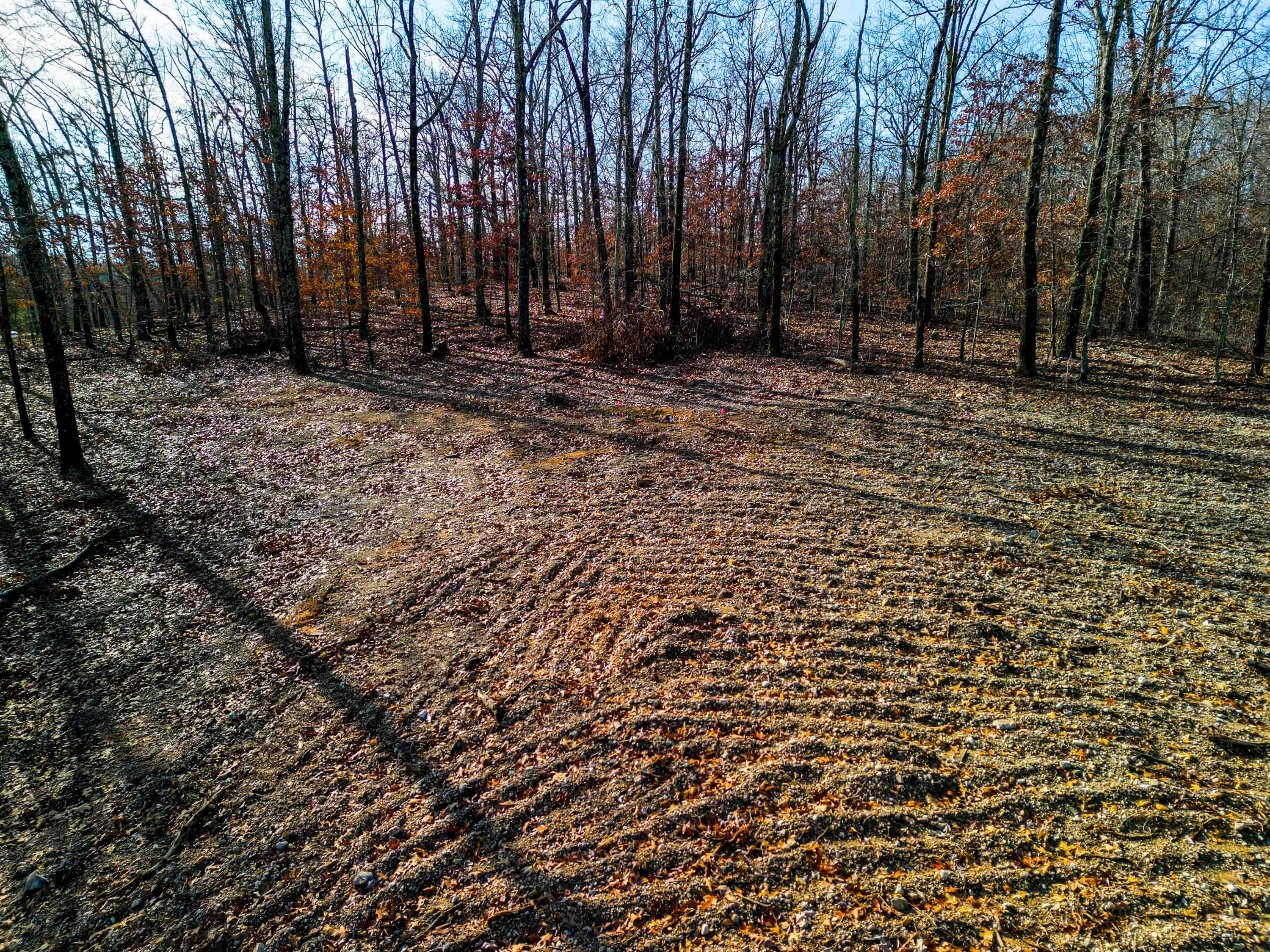 Photo 16 - Land for sale – 000  Co Rd 8190   West Plains, MO