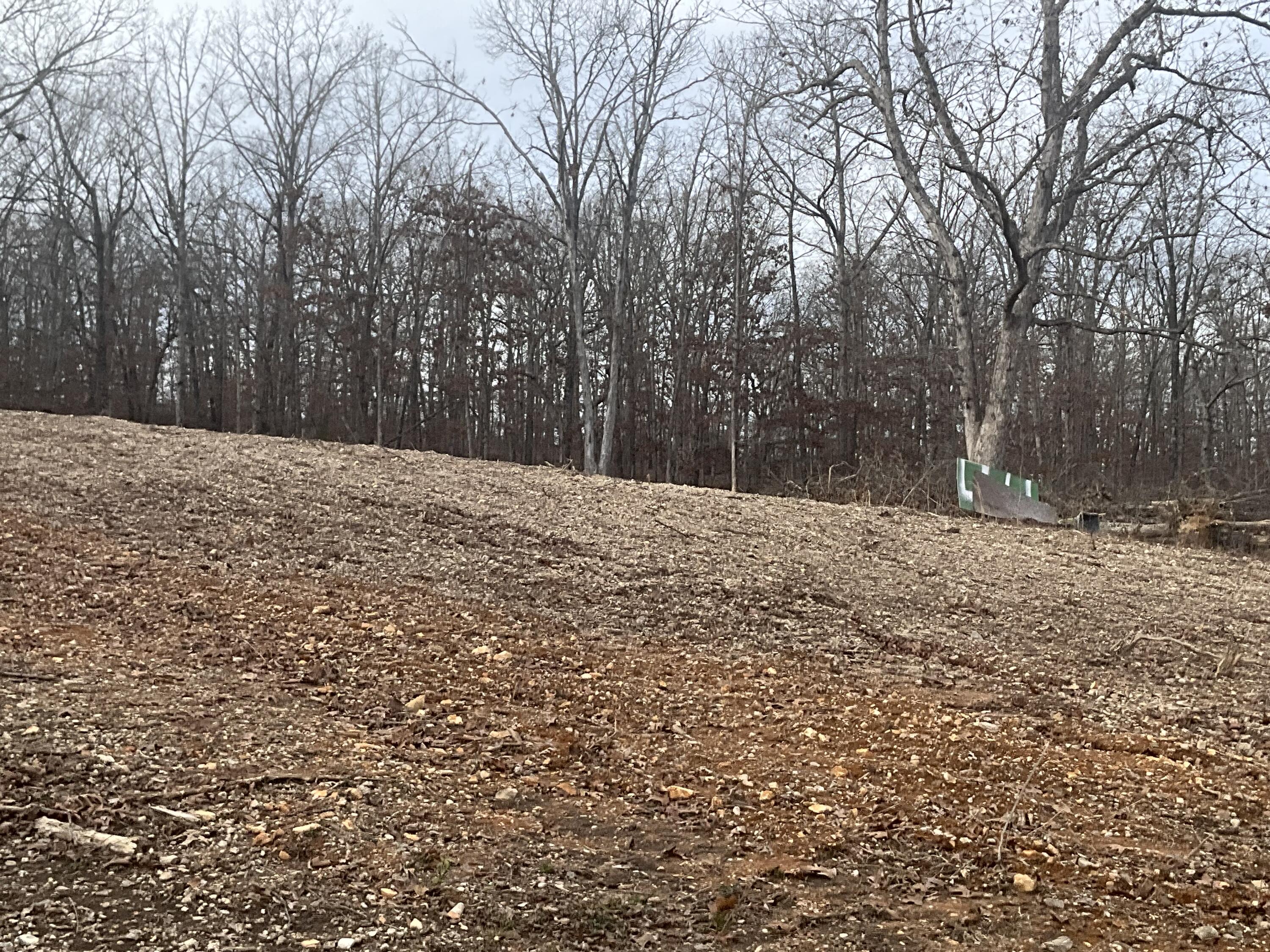 Photo 14 - Land for sale – 000  Co Rd 8190   West Plains, MO