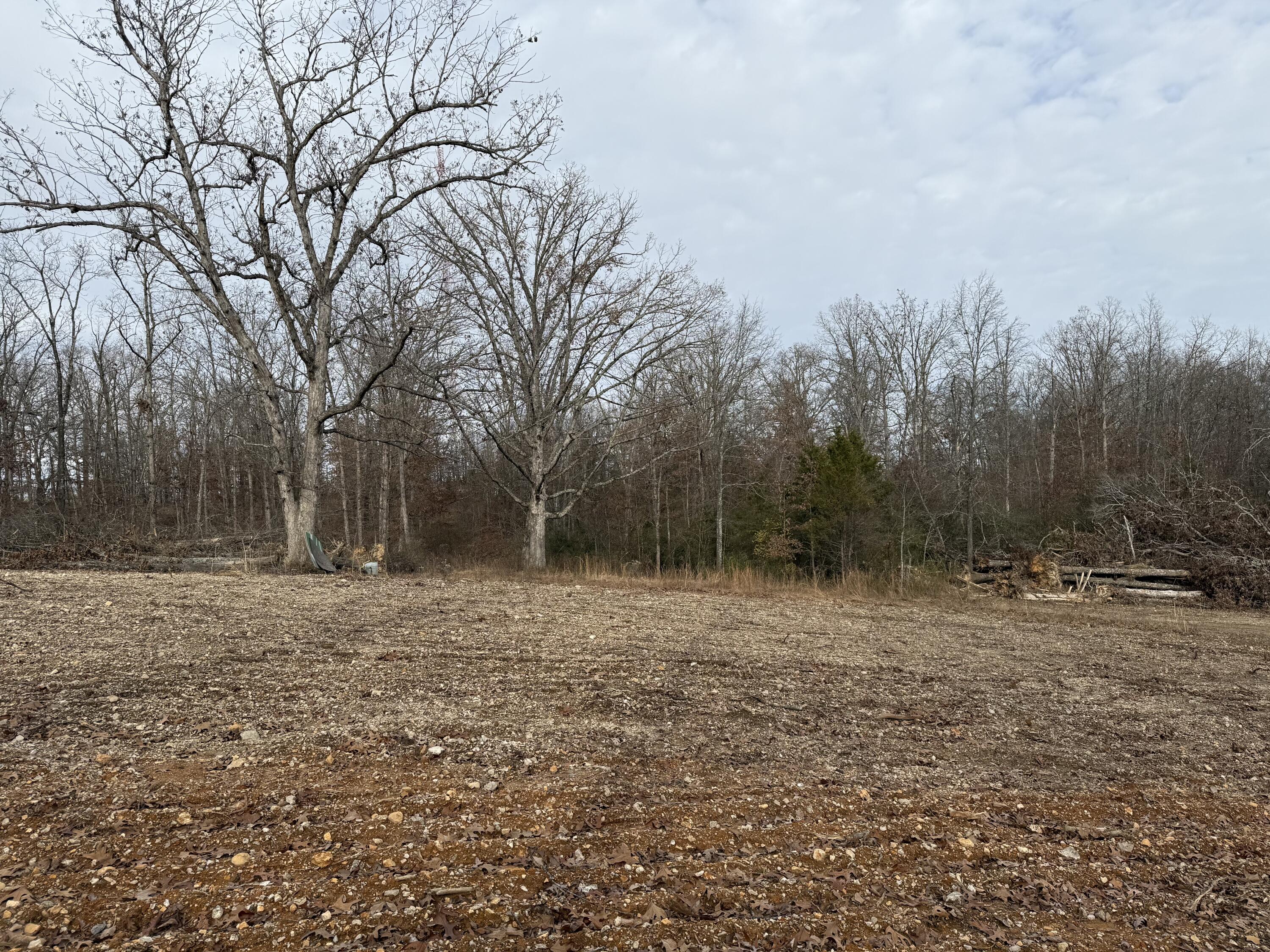 Photo 10 - Land for sale – 000  Co Rd 8190   West Plains, MO