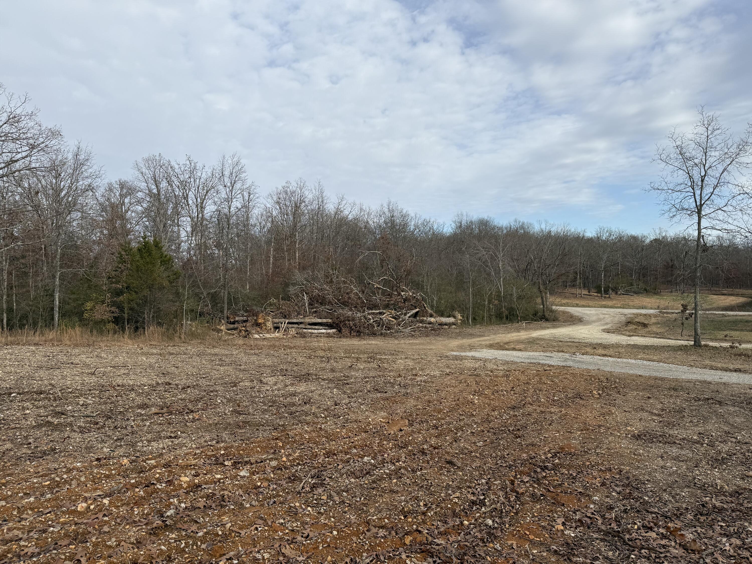 Photo 11 - Land for sale – 000  Co Rd 8190   West Plains, MO