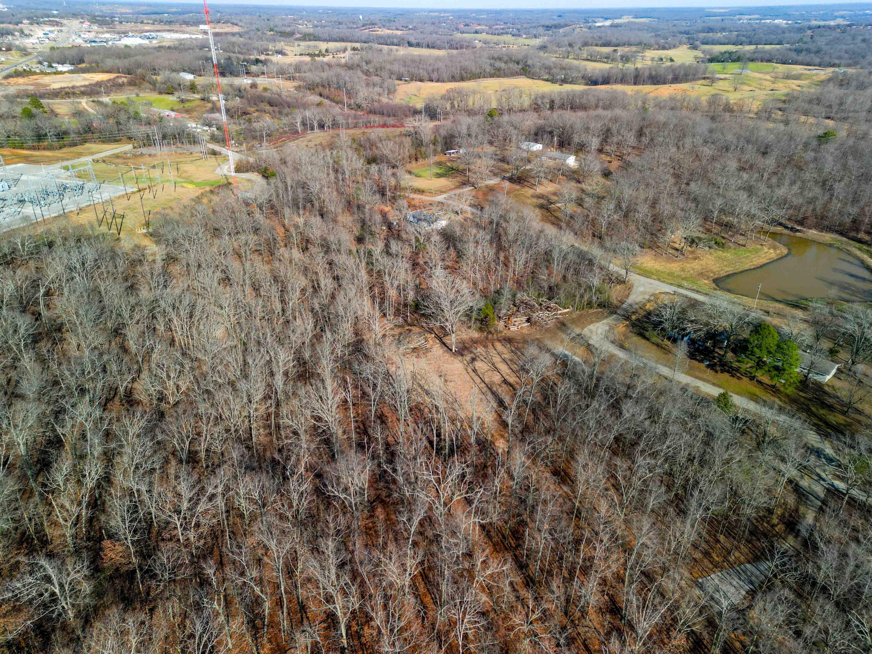 Photo 4 - Land for sale – 000  Co Rd 8190   West Plains, MO