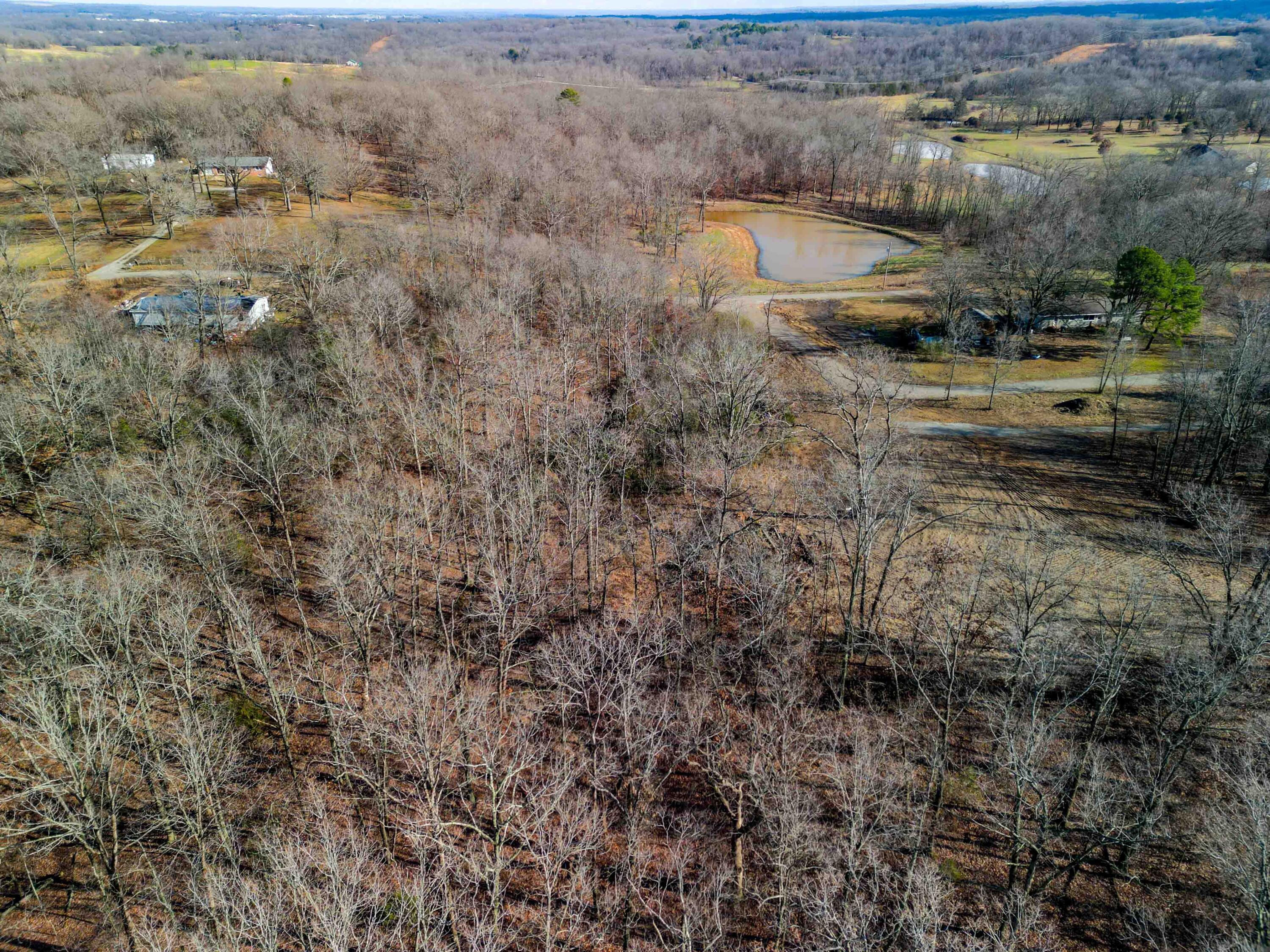 Photo 20 - Land for sale – 000  Co Rd 8190   West Plains, MO