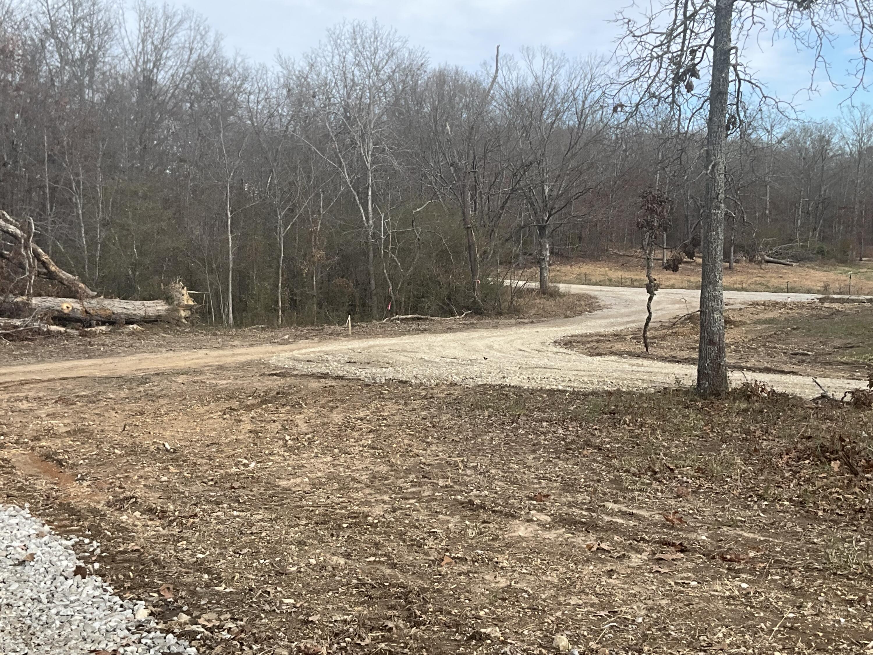 Photo 6 - Land for sale – 000  Co Rd 8190   West Plains, MO
