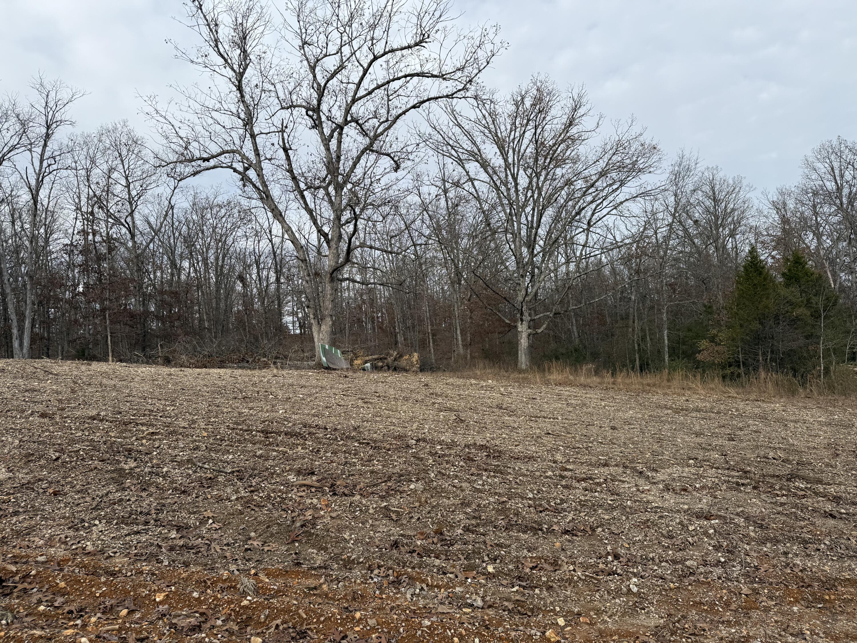 Photo 13 - Land for sale – 000  Co Rd 8190   West Plains, MO