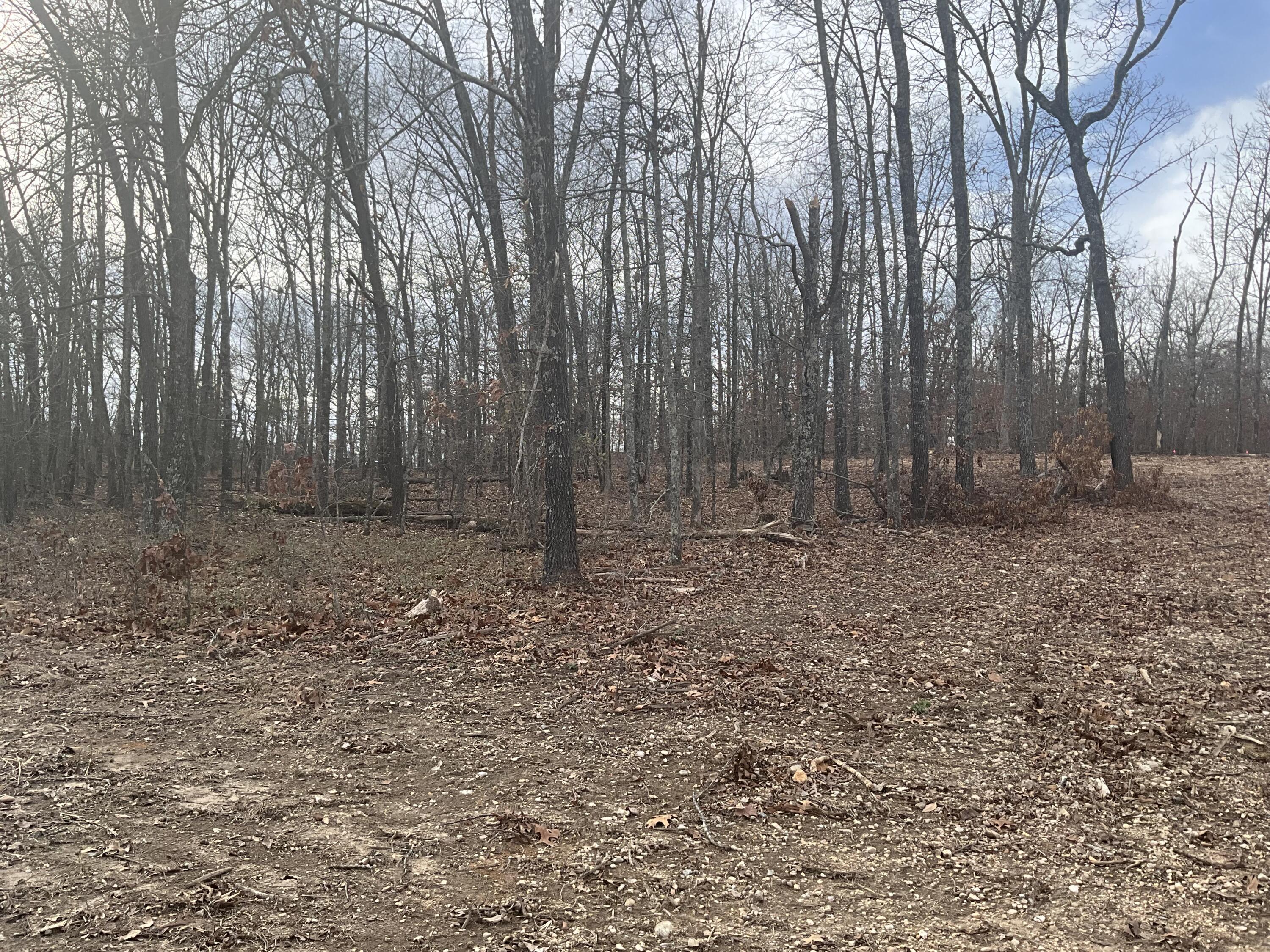 Photo 12 - Land for sale – 000  Co Rd 8190   West Plains, MO