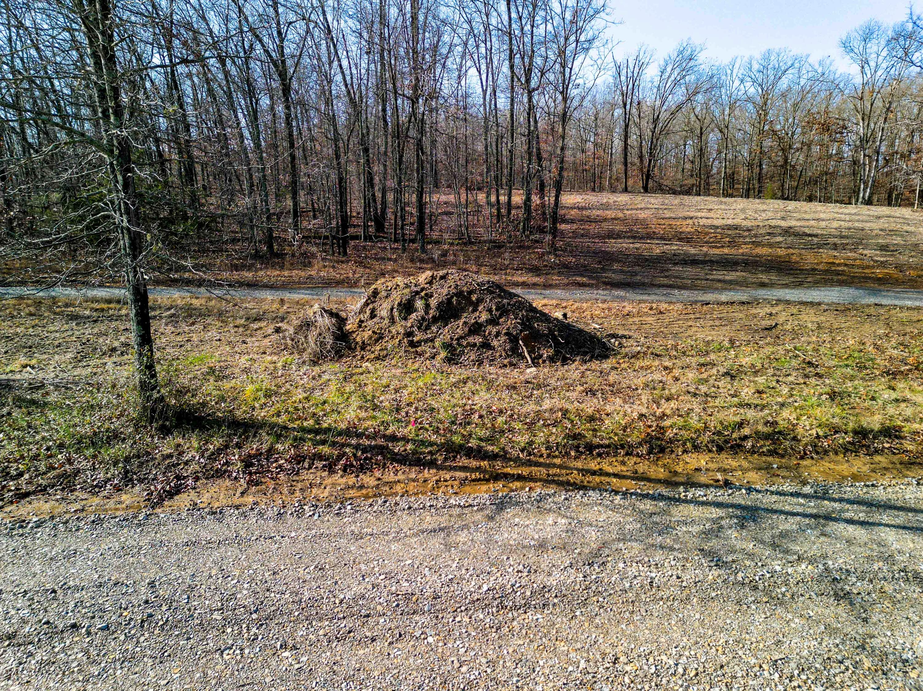 Photo 9 - Land for sale – 000  Co Rd 8190   West Plains, MO