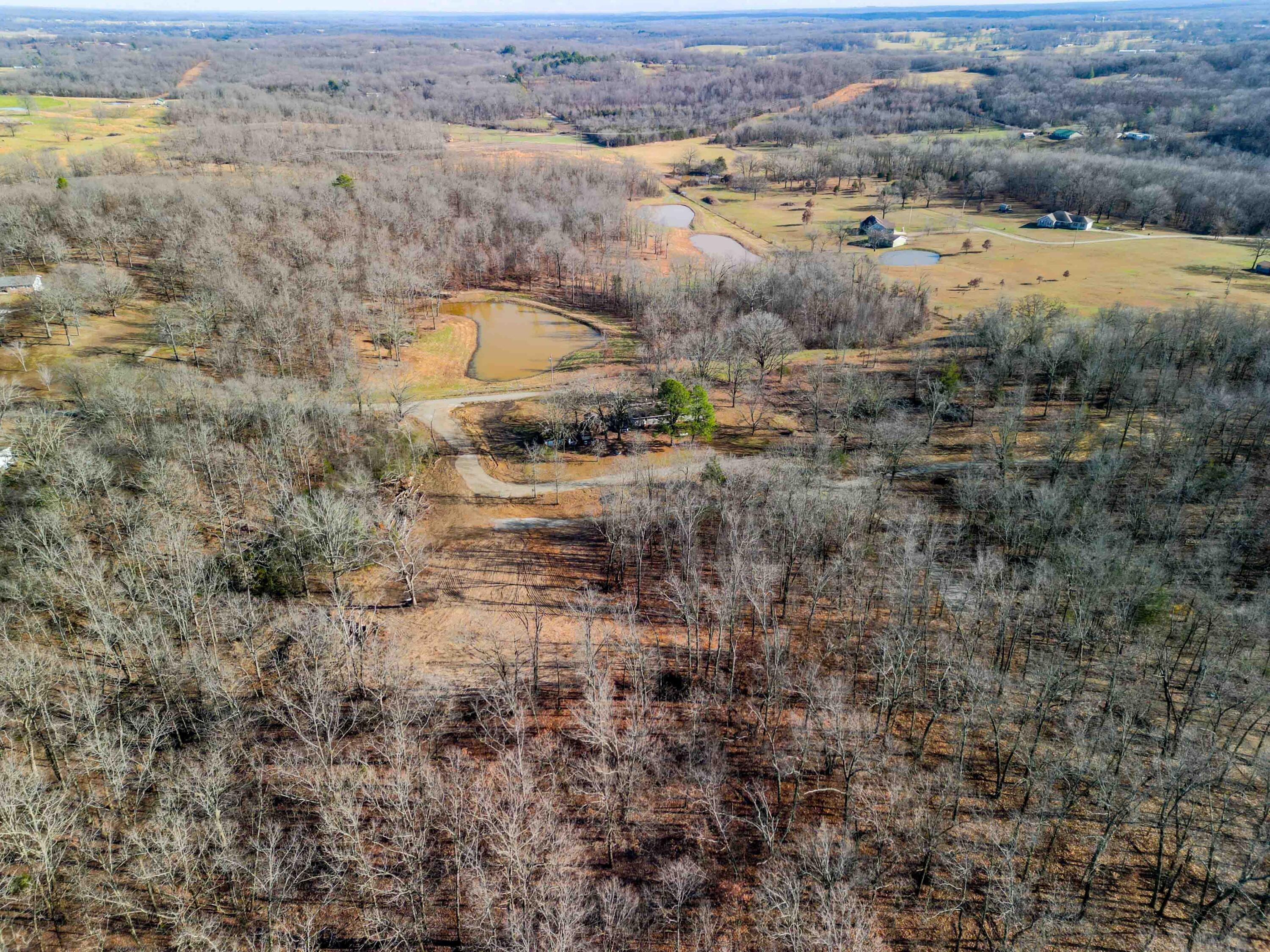 Photo 3 - Land for sale – 000  Co Rd 8190   West Plains, MO