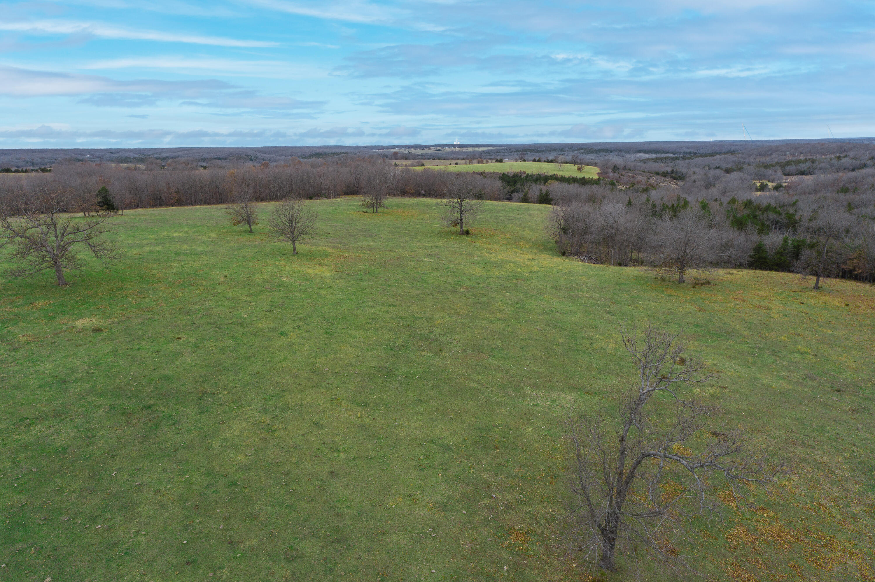 Photo 85 - Farm for sale – 13790  Highway W   Wheatland, MO