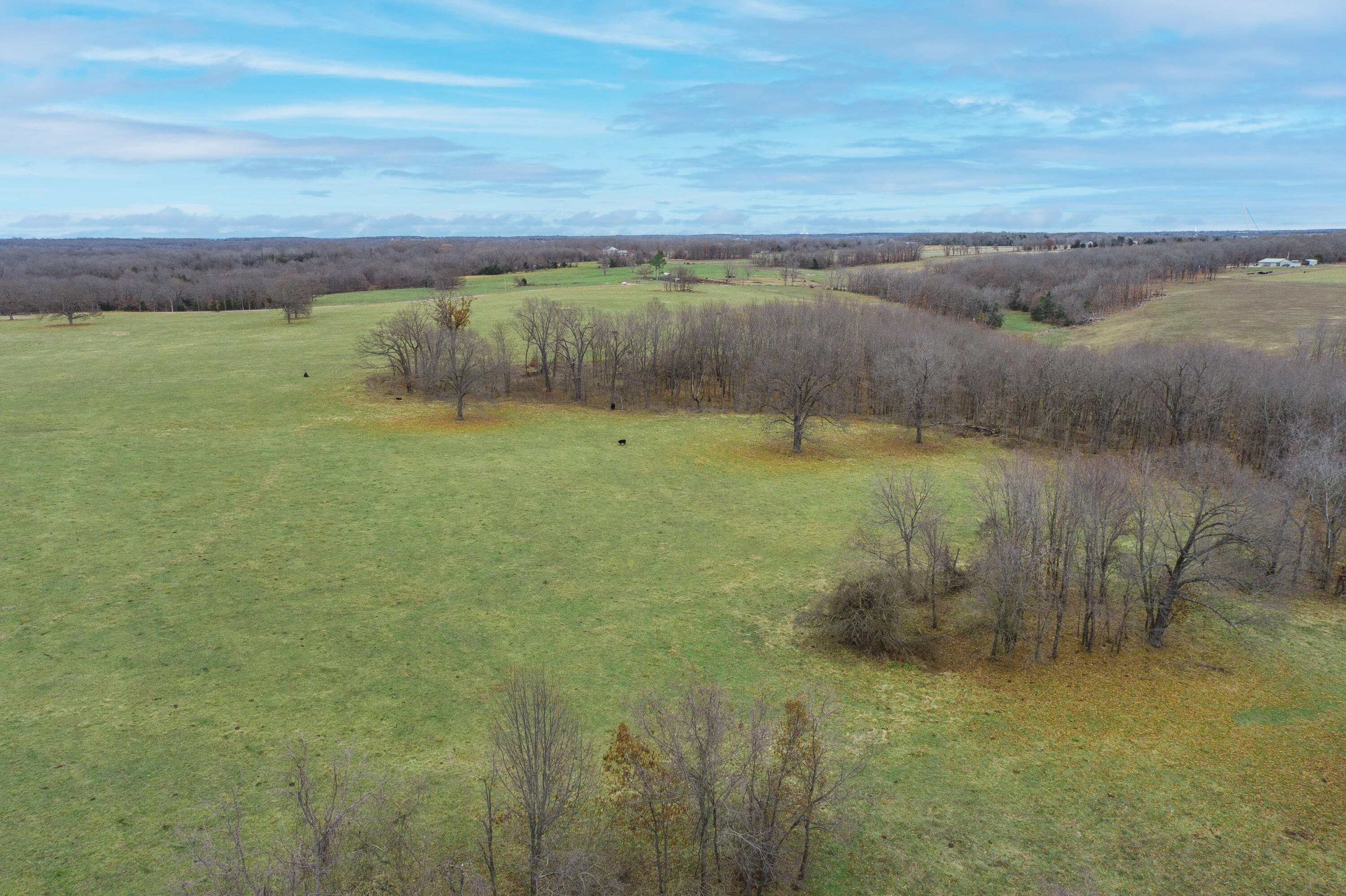 Photo 90 - Farm for sale – 13790  Highway W   Wheatland, MO