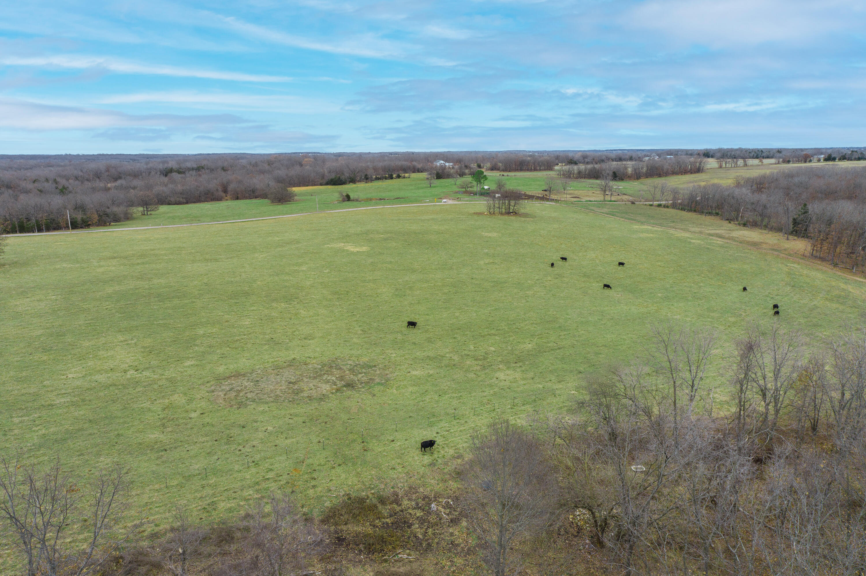 Photo 92 - Farm for sale – 13790  Highway W   Wheatland, MO
