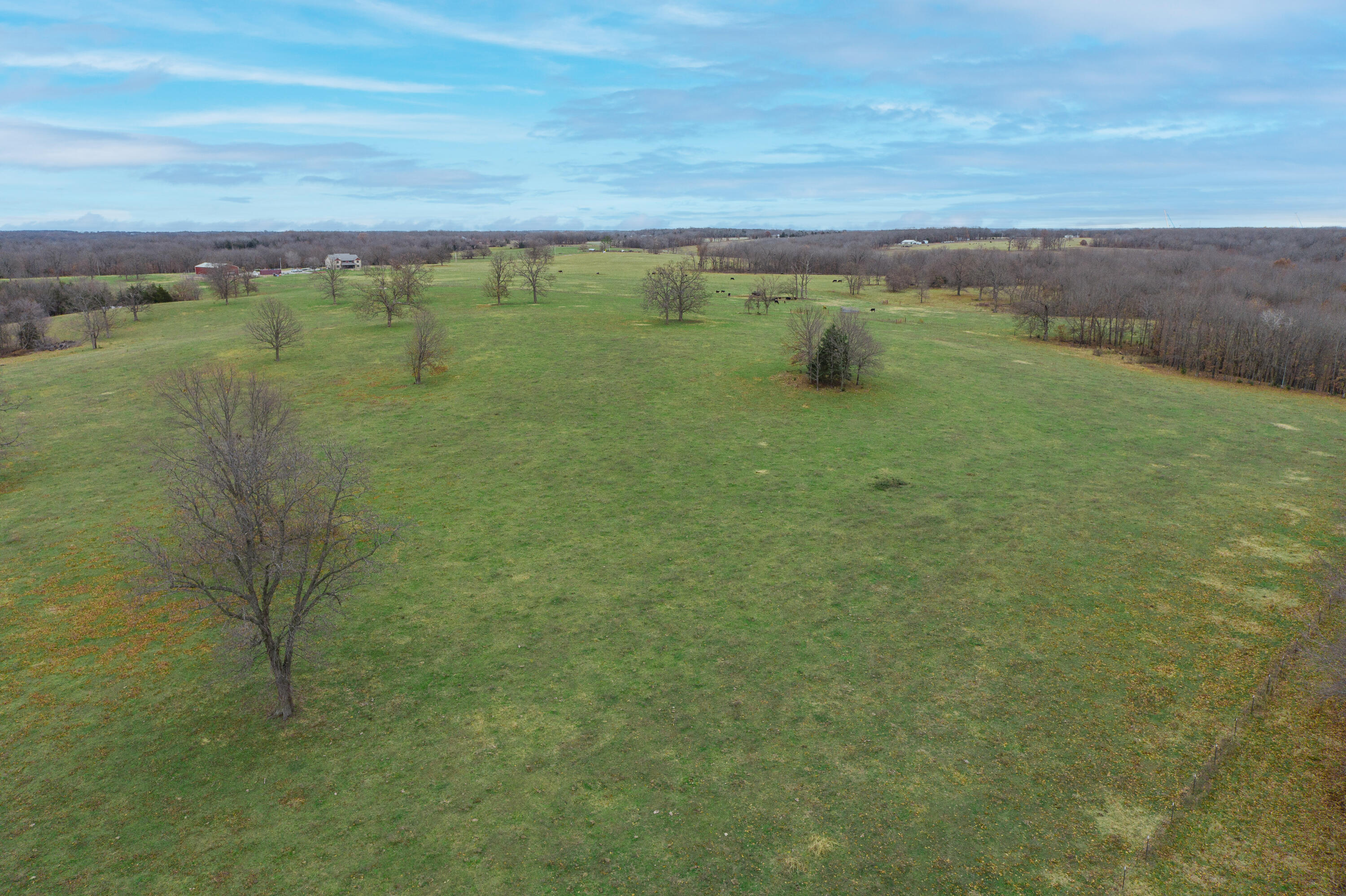 Photo 87 - Farm for sale – 13790  Highway W   Wheatland, MO