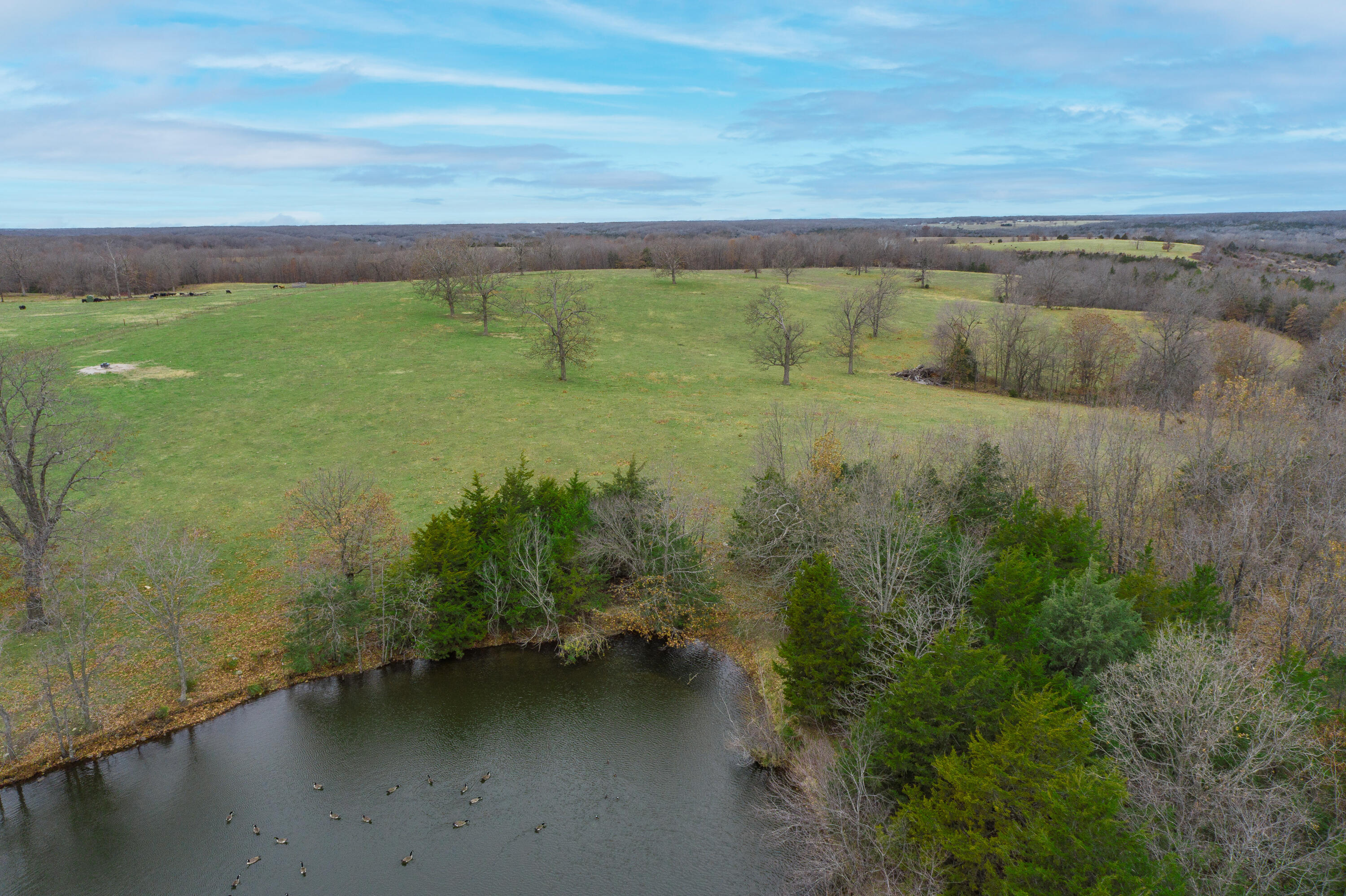 Photo 82 - Farm for sale – 13790  Highway W   Wheatland, MO