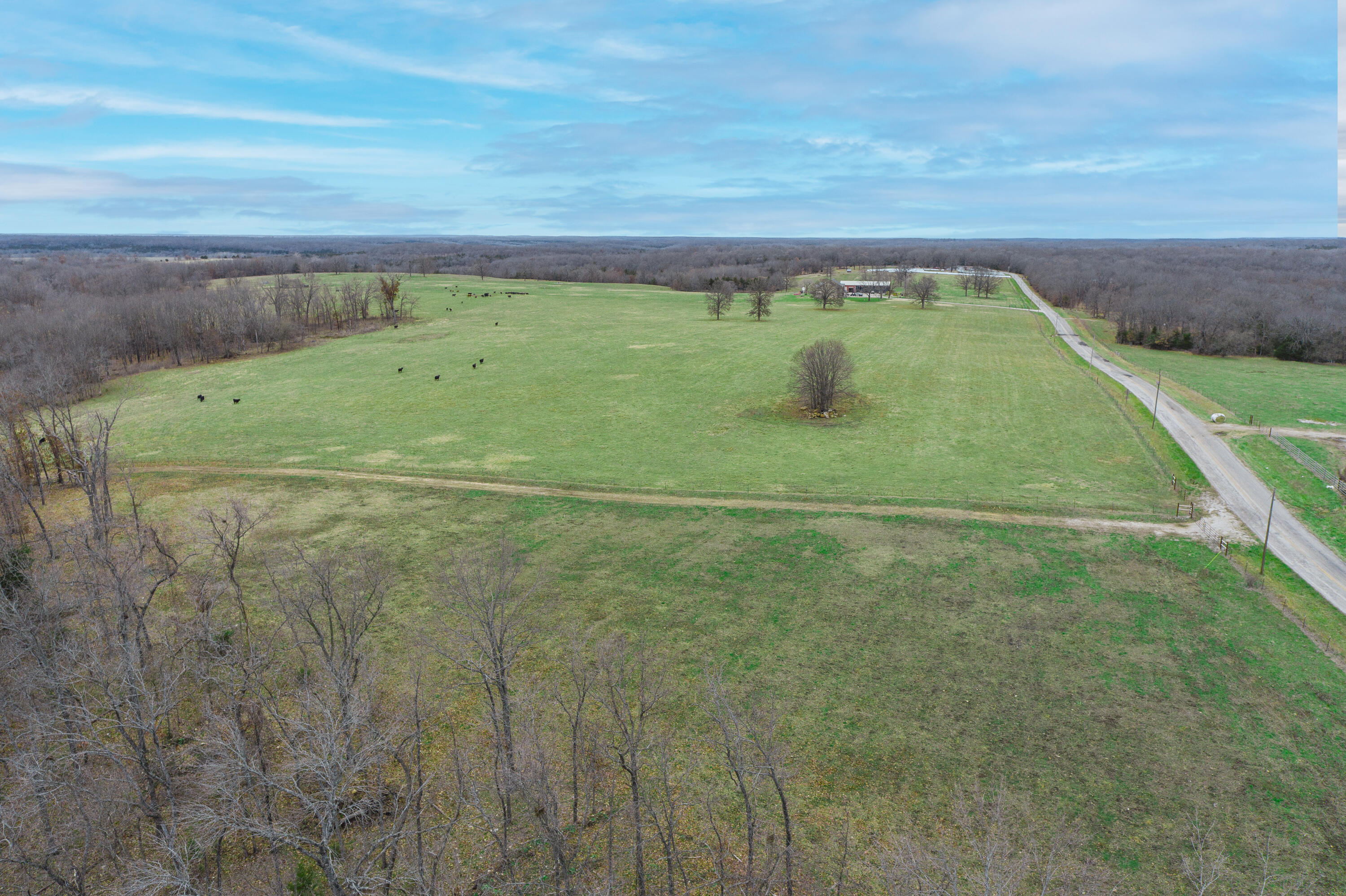 Photo 93 - Farm for sale – 13790  Highway W   Wheatland, MO