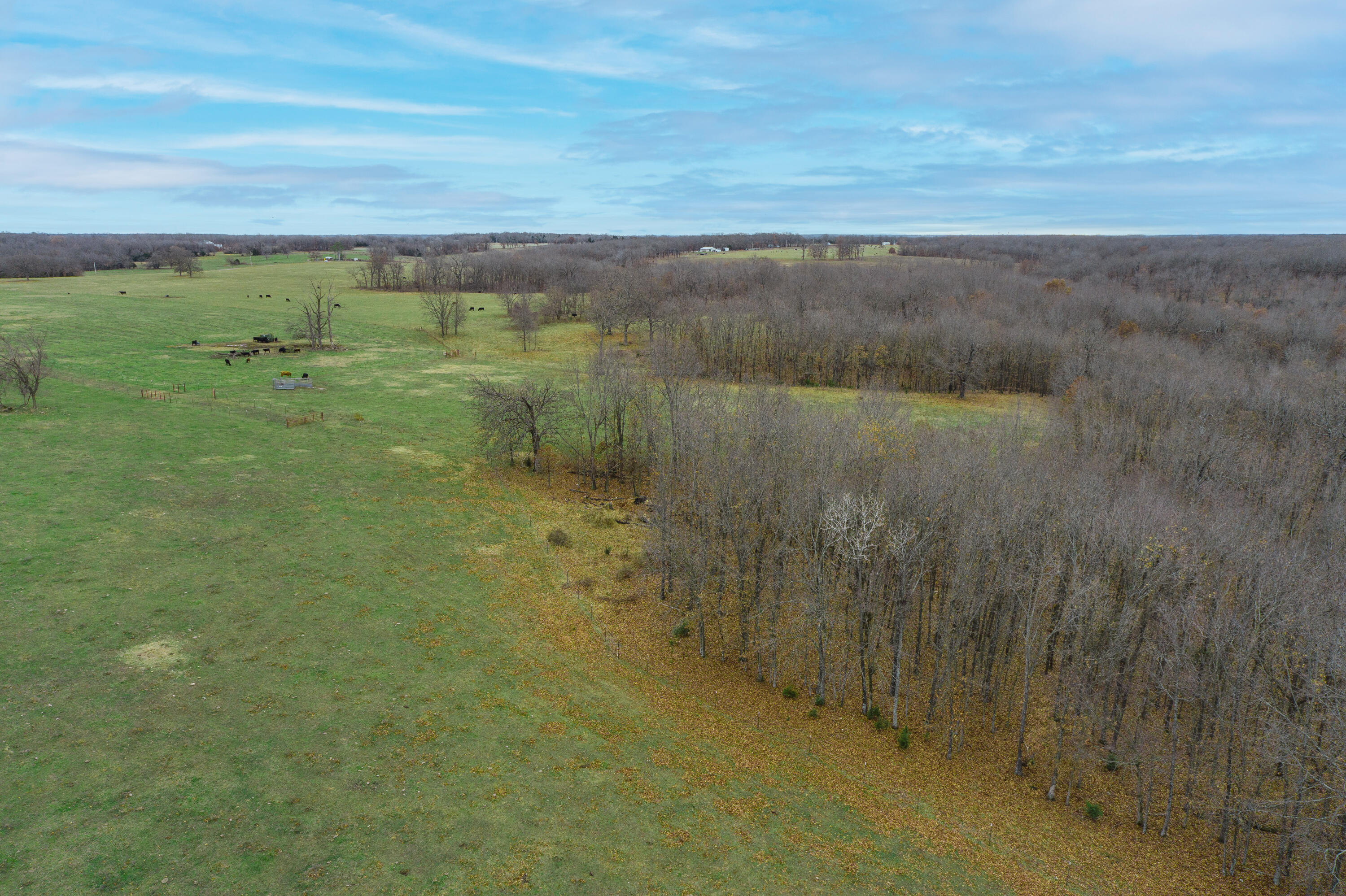 Photo 88 - Farm for sale – 13790  Highway W   Wheatland, MO