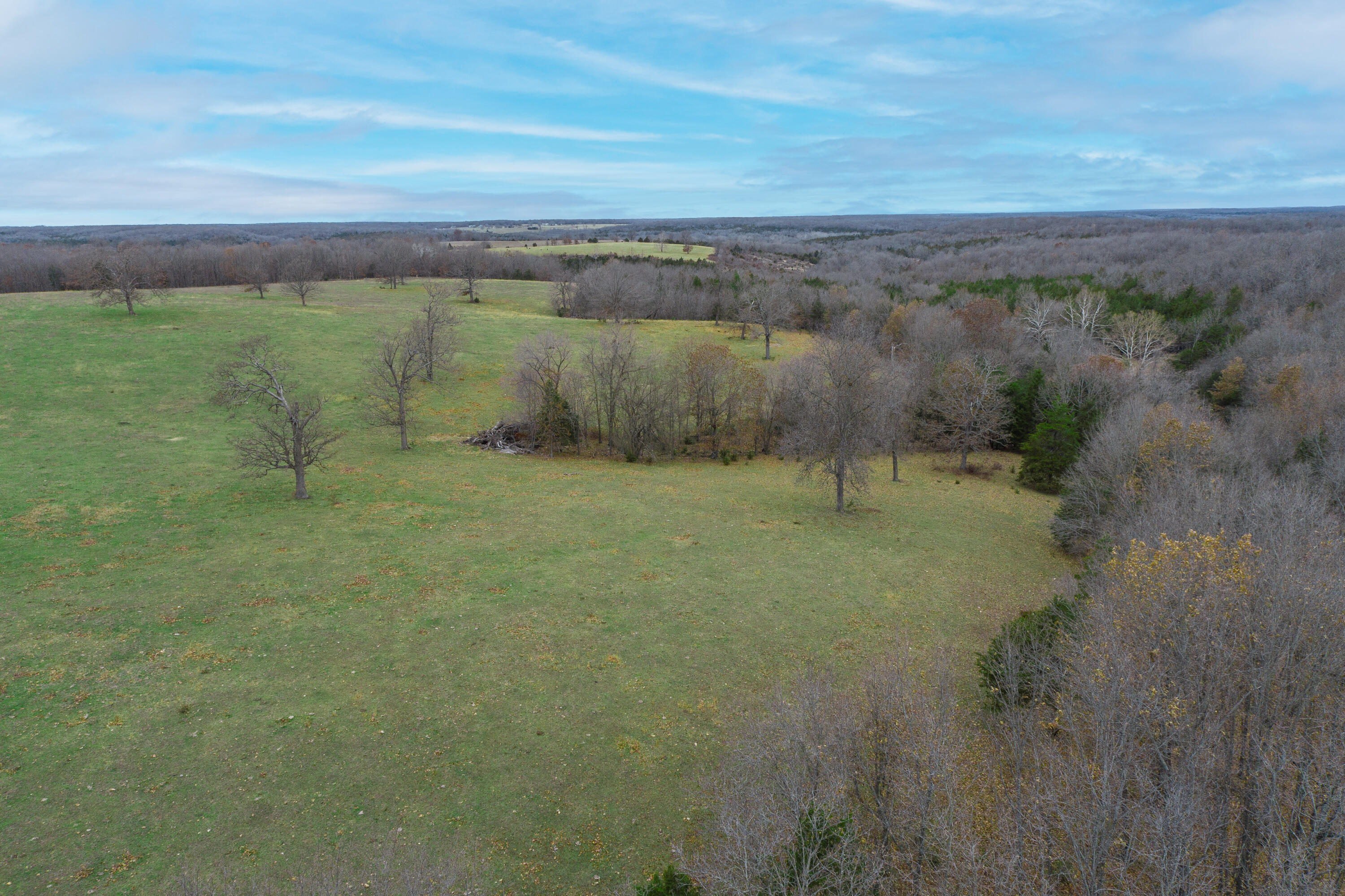Photo 83 - Farm for sale – 13790  Highway W   Wheatland, MO