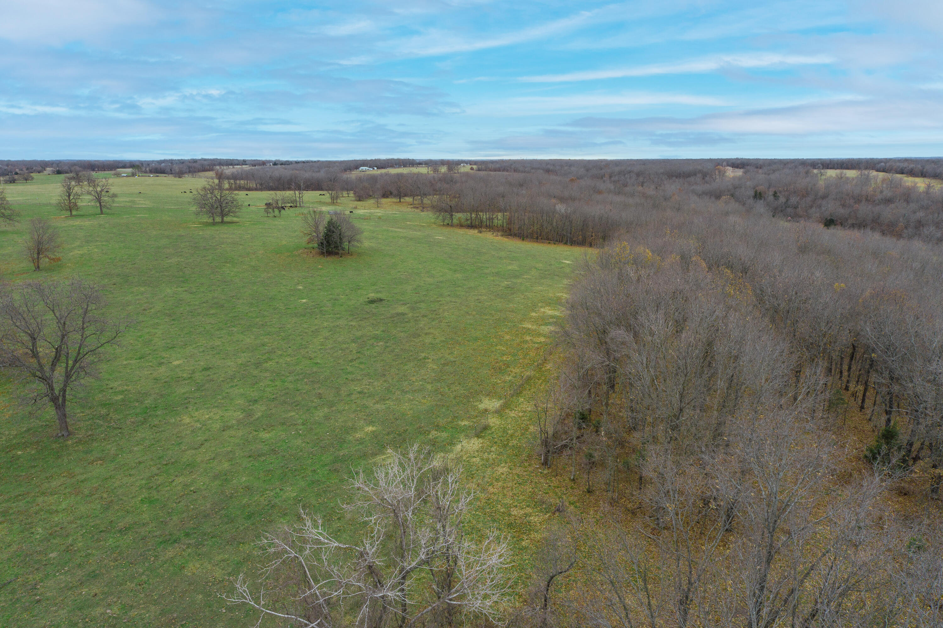 Photo 86 - Farm for sale – 13790  Highway W   Wheatland, MO