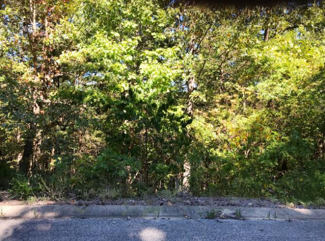 Land for sale – 000 Skylee Dr Hollister, MO