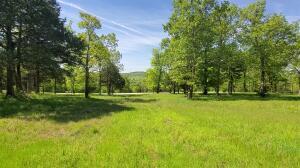 Photo 6 - Land for sale – 20  Cedar Falls Road (Lot 20)   Shell Knob, MO