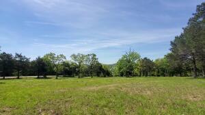 Photo 5 - Land for sale – 21-22  Cedar Falls Rd. (Lots 21 & 22)   Shell Knob, MO