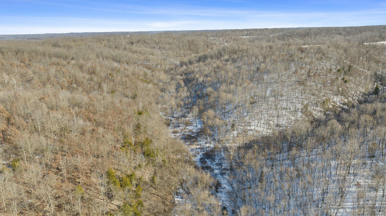 Photo 27 - Land for sale – 71.9 Acres  Sugar  Valley Circle  Pineville, MO
