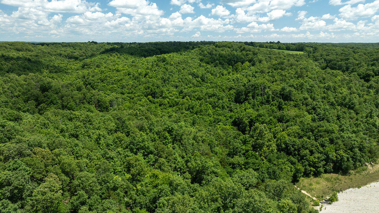 Photo 11 - Land for sale – 71.9 Acres  Sugar  Valley Circle  Pineville, MO