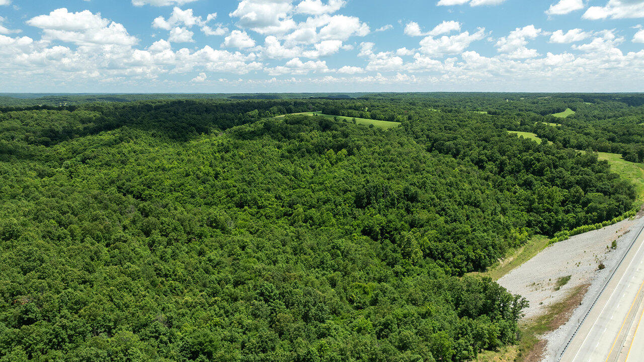 Photo 10 - Land for sale – 71.9 Acres  Sugar  Valley Circle  Pineville, MO