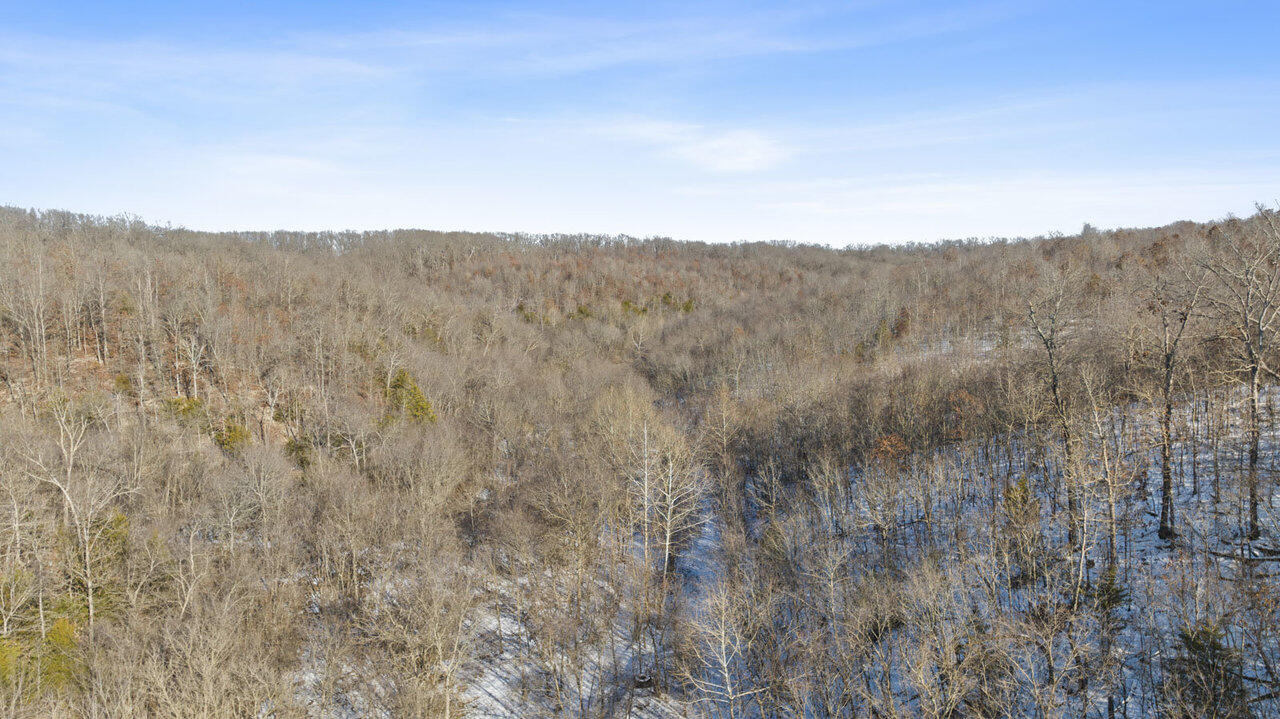 Photo 19 - Land for sale – 71.9 Acres  Sugar  Valley Circle  Pineville, MO