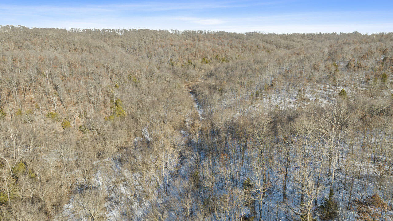 Photo 28 - Land for sale – 71.9 Acres  Sugar  Valley Circle  Pineville, MO