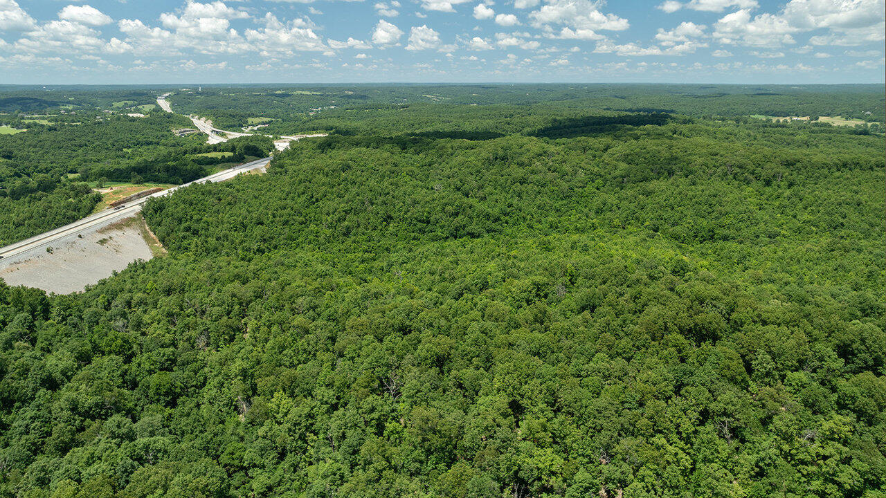 Photo 2 - Land for sale – 71.9 Acres  Sugar  Valley Circle  Pineville, MO