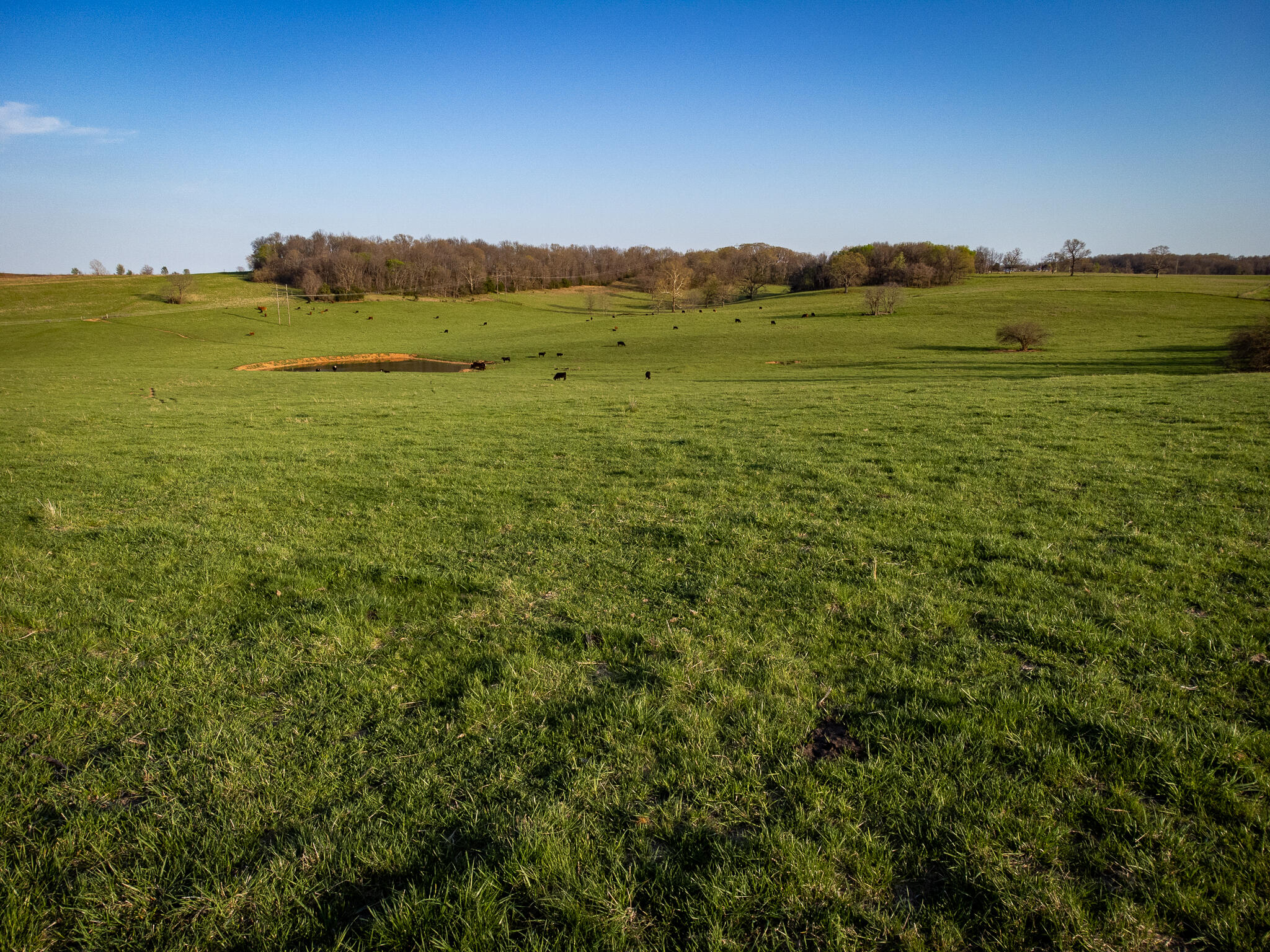 Photo 5 - Land for sale – 006  County Road 14   Aldrich, MO
