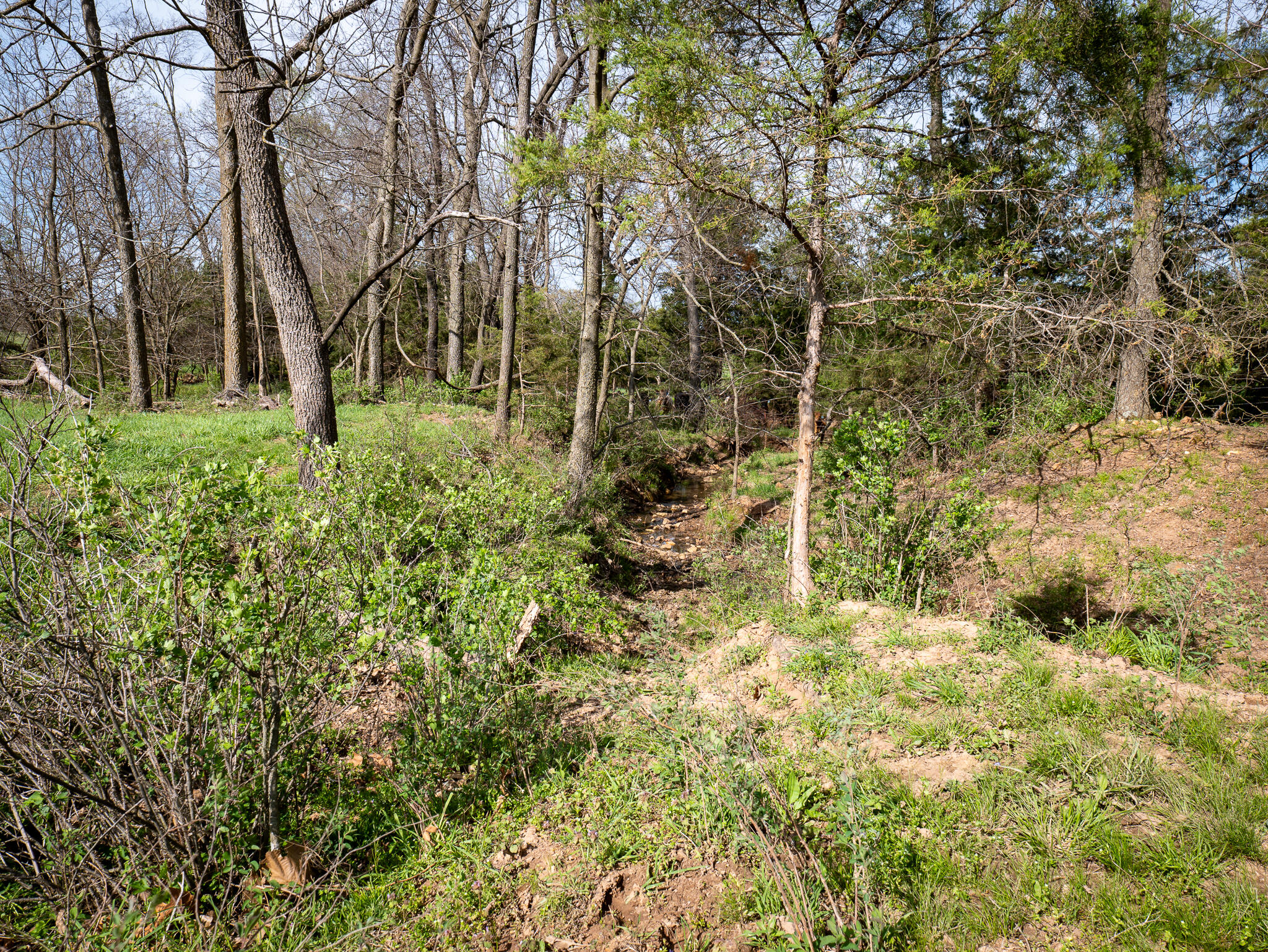 Photo 11 - Land for sale – 006  County Road 14   Aldrich, MO