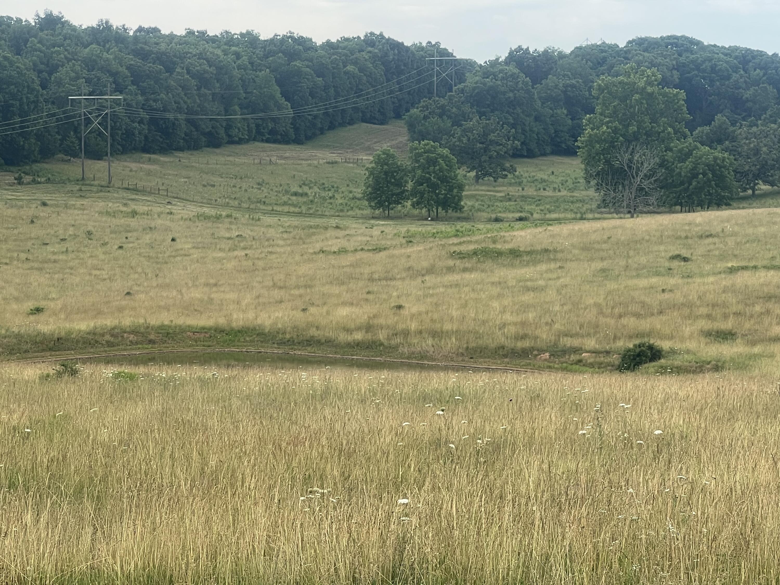 Photo 13 - Land for sale – 006  County Road 14   Aldrich, MO