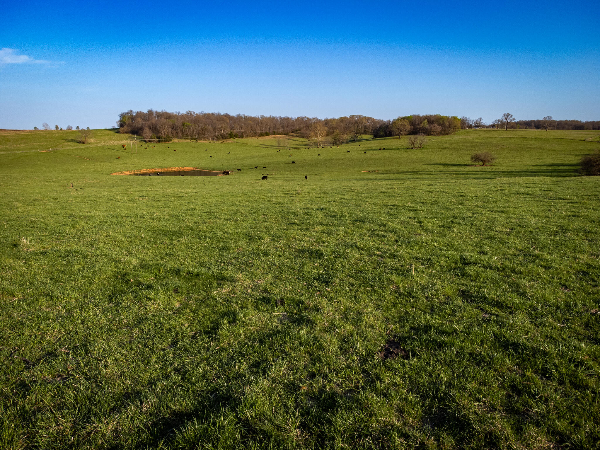 Photo 4 - Land for sale – 006  County Road 14   Aldrich, MO