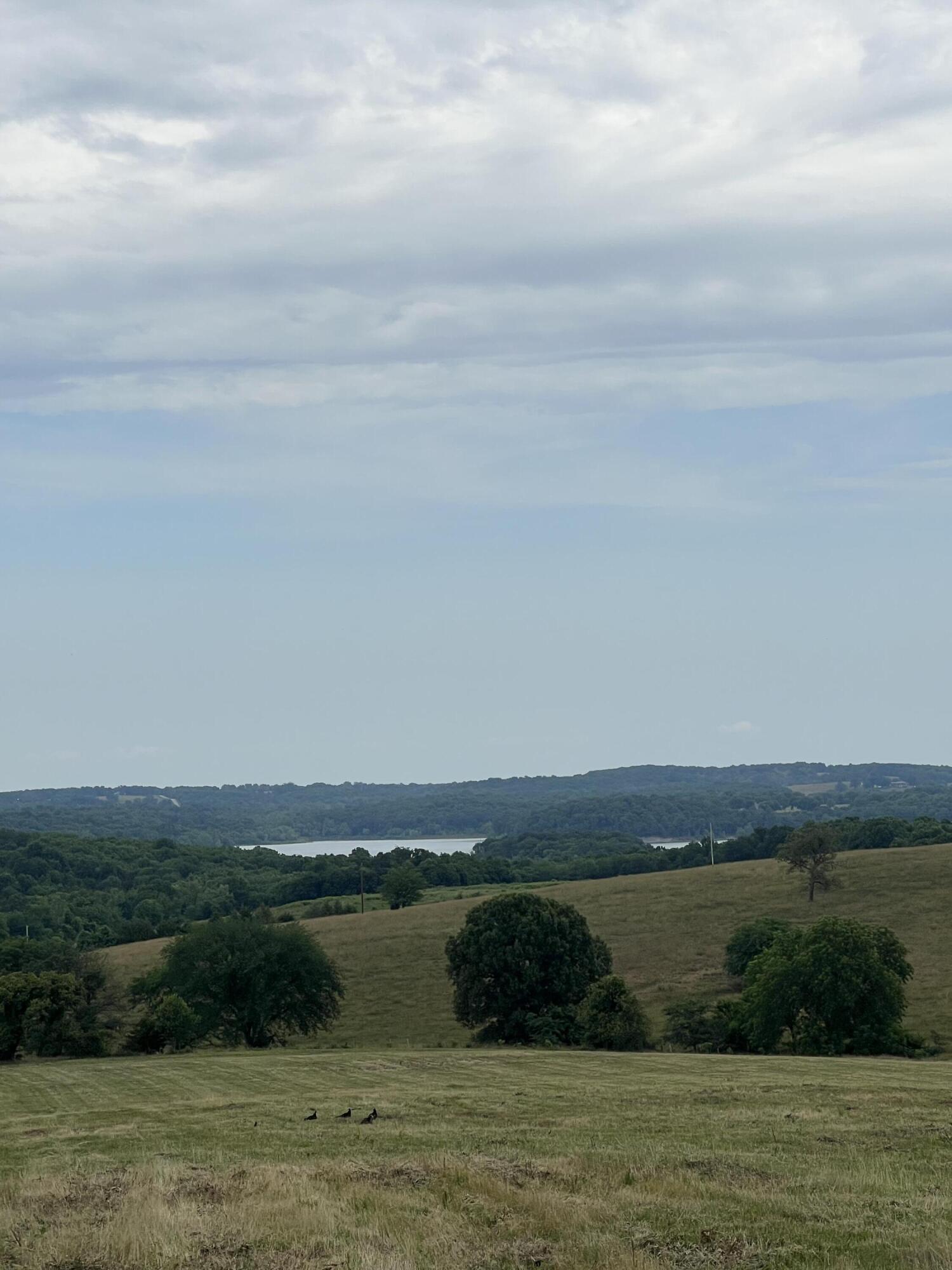 Photo 6 - Land for sale – 006  County Road 14   Aldrich, MO