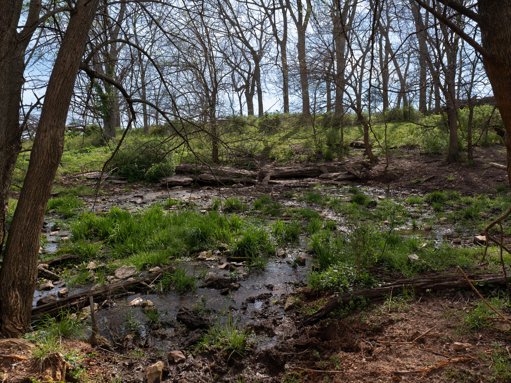 Photo 8 - Land for sale – 006  County Road 14   Aldrich, MO