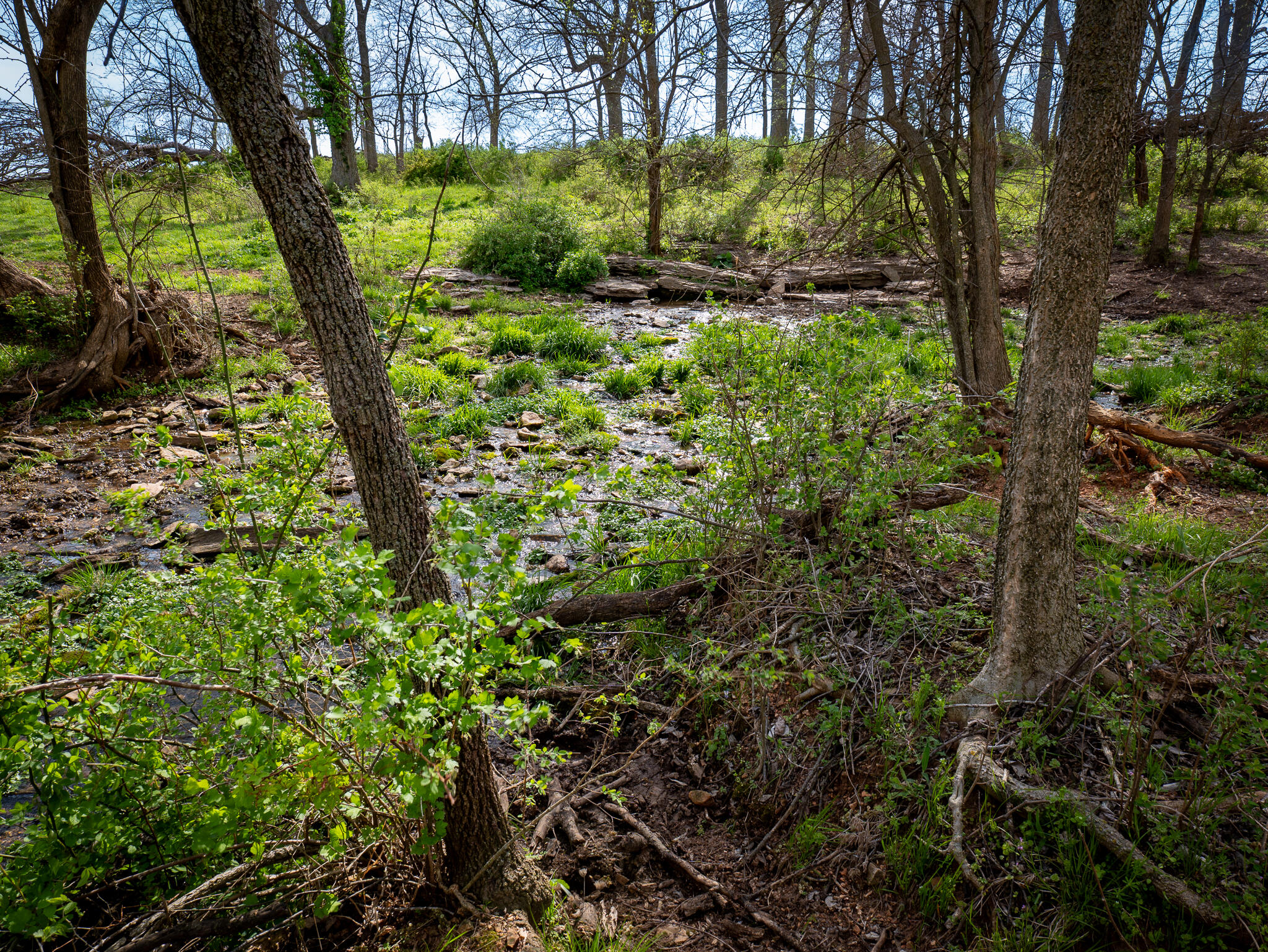 Photo 9 - Land for sale – 006  County Road 14   Aldrich, MO